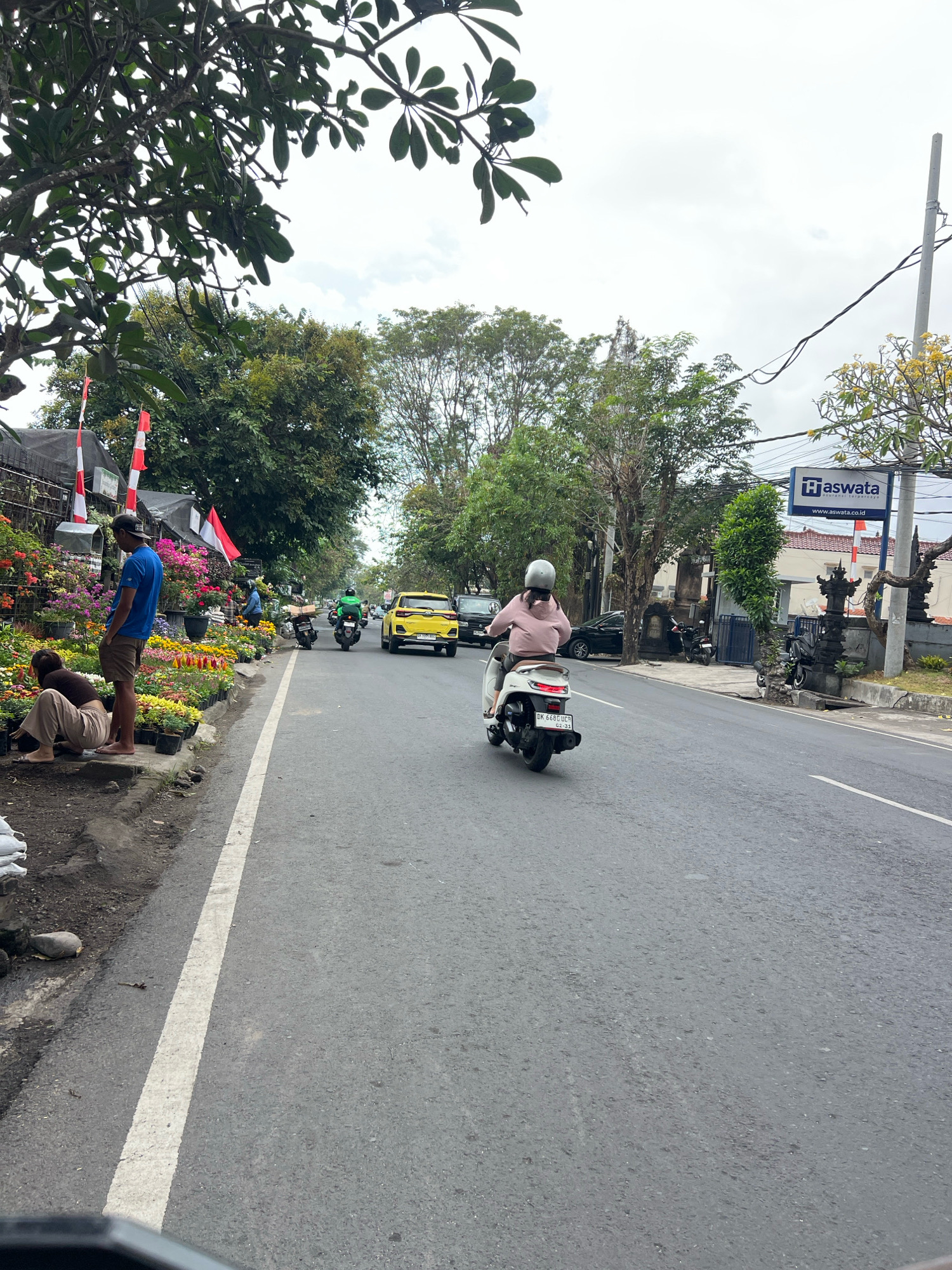 The image captures a street scene in Denpasar, Indonesia, likely along a busy road given the presence of vehicles and pedestrians. On the left side of the road, a flower vendor is arranging potted plants, with a man in a blue shirt standing and observing, and another person squatting down among the flowers. Red and white Indonesian flags are displayed near the flower stall.
The road itself is paved and marked with a white lane divider. Several vehicles are present: a yellow car is driving in the opposite lane, followed by a scooter with a person wearing a pink jacket and white helmet. Further down the road, other motorcycles and a black SUV are visible. On the right side of the road, there is a business with a sign that reads "Haswata" and a website address, suggesting it is an establishment or company. Trees line the street, providing some shade, and utility poles with wires are also present. The sky is overcast. The overall scene depicts a typical day in a bustling urban area of Denpasar, with commercial activity and traffic.