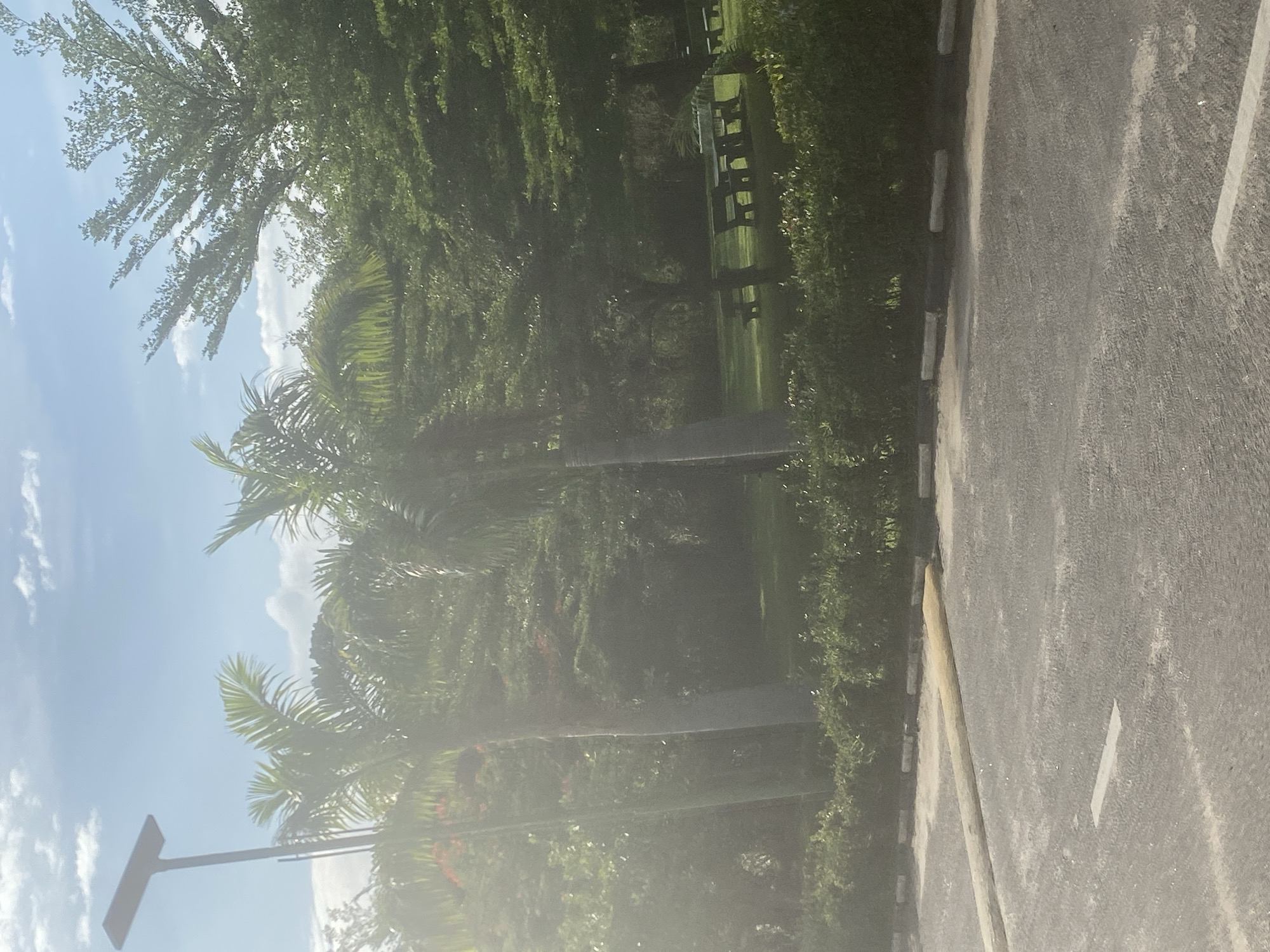 The image shows a street scene in Angwan Sayawa, Nigeria. A paved road with white lane markings runs along the right side of the frame. To the left of the road is a strip of green vegetation, including trees and palm trees. In the background, there are benches and possibly other structures obscured by the dense foliage. A utility pole is visible in the lower left corner. The sky is blue with some clouds.