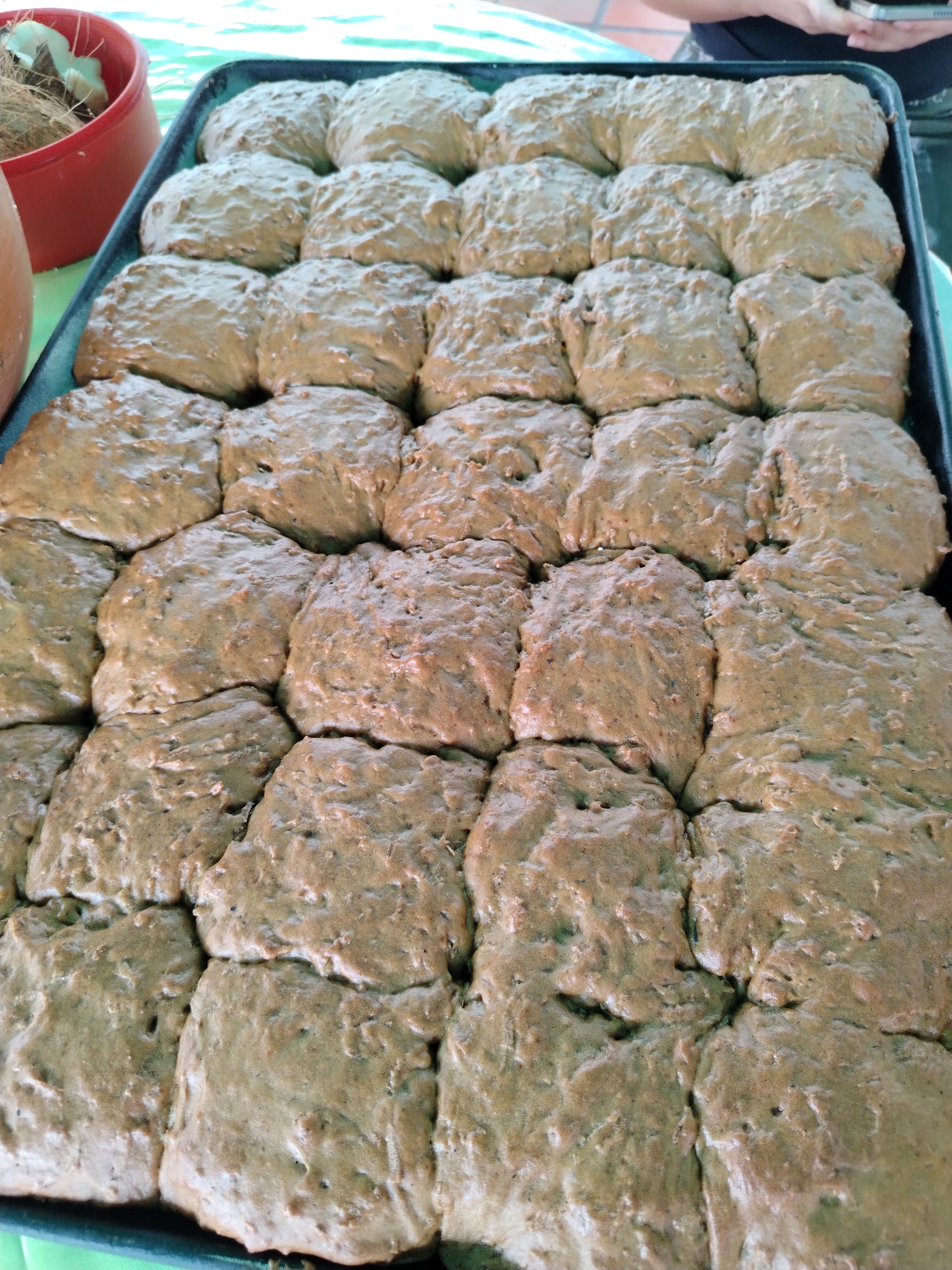 The image shows a baking tray filled with rows of baked goods, likely rolls or small loaves, set on a surface with a green and white pattern. The baked goods appear to have a rough, textured surface and are arranged closely together. A red pot with coconut husks inside is visible on the left side of the image. A hand holding a mobile phone is seen partially in the background. The location is identified as Tinaquillo, Venezuela.