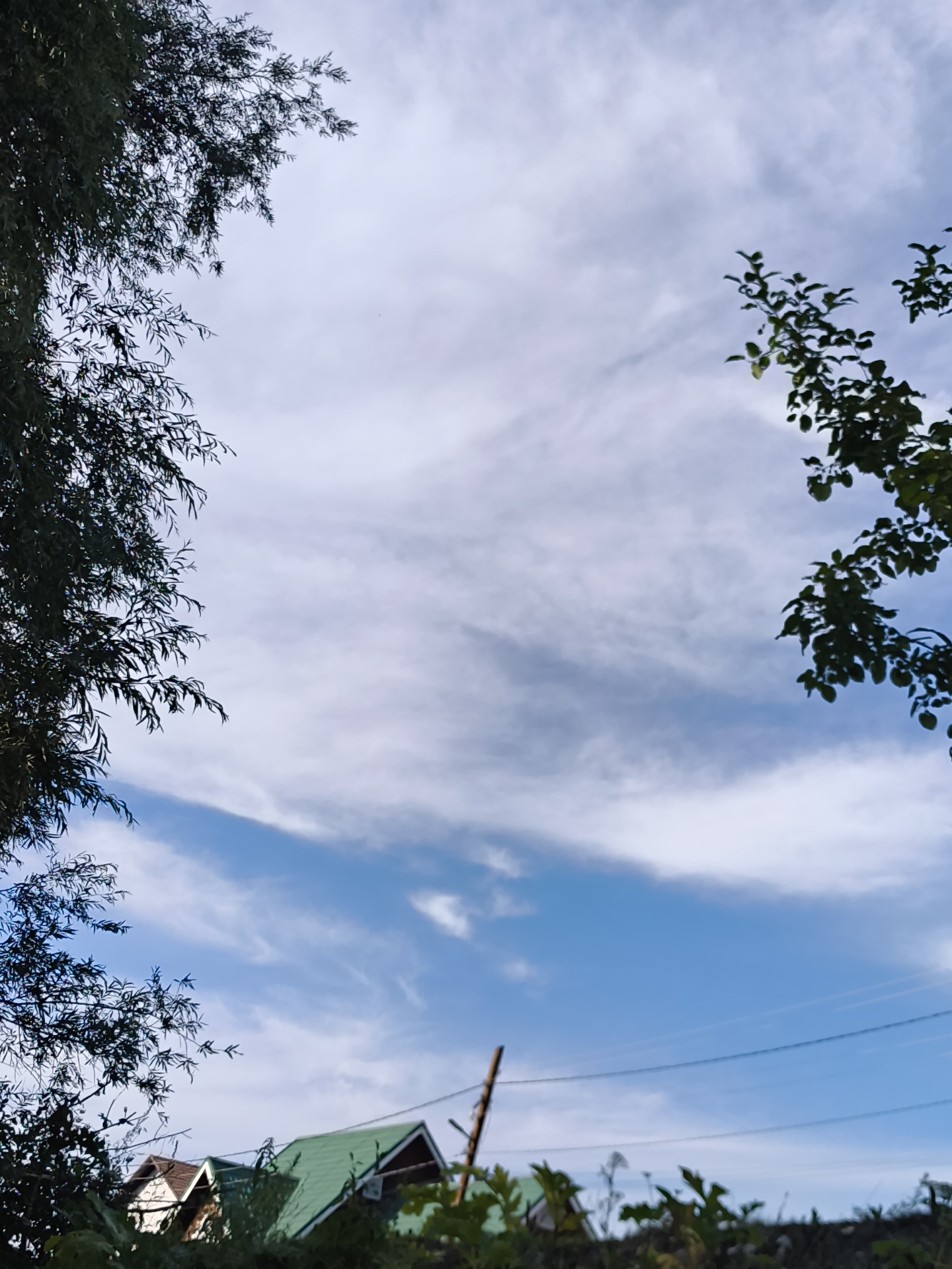 The image depicts an outdoor scene with a focus on the sky and some foreground elements. The sky is partly cloudy with wispy white clouds against a bright blue background. In the foreground, the branches of two trees frame the sky from the left and right sides of the image. The tree on the left has dense, drooping foliage, while the tree on the right has sparser leaves.
In the lower portion of the image, several houses with peaked roofs are visible, partially obscured by greenery. One house has a green roof, and another appears to have a brown roof. Power lines run horizontally across the lower part of the sky. A wooden pole stands vertically on the right side, near the houses. The environment appears to be a residential area with vegetation. The image does not contain any people or depict any actions or interactions. The location is identified as Mayma, Russia.