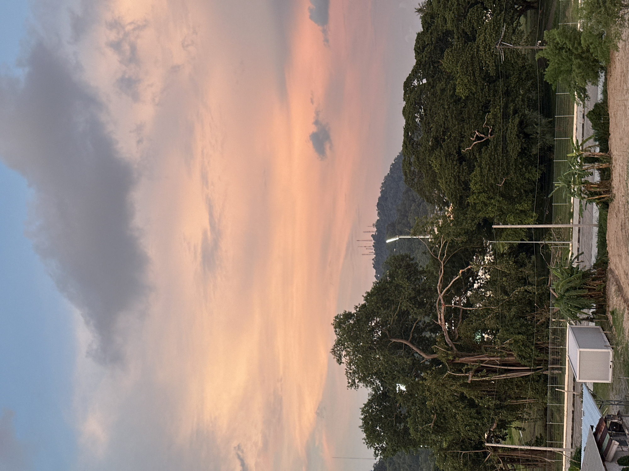 The image captures a serene sunset scene in Wichit, Thailand. The sky is a canvas of soft pastel hues, transitioning from a pale blue at the top to a warm peach and pink near the horizon, dotted with scattered gray clouds. Below the sky, a lush green landscape unfolds, dominated by mature trees with dense foliage and exposed, gnarled branches. In the middle ground, a hill rises, sparsely covered with trees and topped with several radio or transmission towers, indicative of urban infrastructure. A street light illuminates a patch of the scene. In the foreground, a road runs horizontally, bordered by a fence and some scattered vegetation. A grey rectangular portable building sits beside the road, with a section of a smaller, weathered structure with a corrugated metal roof to its left. The overall environment appears to be a suburban or semi-rural area on the outskirts of a city. There are no people visible in the image, and no actions or interactions are depicted.