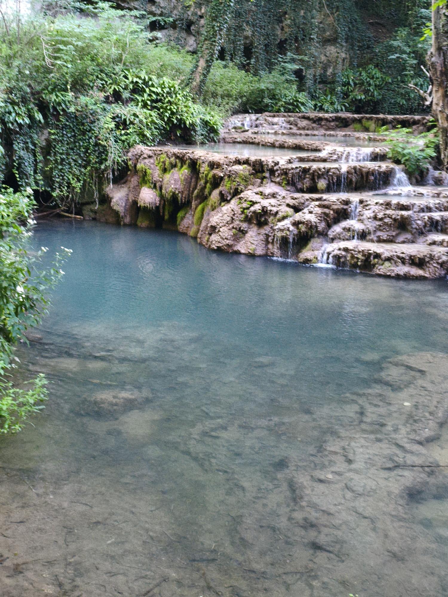 The image depicts a serene natural scene at the Krushuna Waterfalls in Krushuna, Bulgaria. In the foreground, a body of crystal-clear turquoise water fills the lower half of the frame, revealing the rocky, sandy bottom below. To the right, a series of layered, moss-covered rock formations create natural terraces where water cascades gently down in multiple small waterfalls. Lush green vegetation, including ivy and various plants, clings to the rocky cliffs and frames the top of the scene, contributing to a sense of untamed beauty. The overall environment is one of a hidden, tranquil natural wonder. There are no people or animals visible in the image.