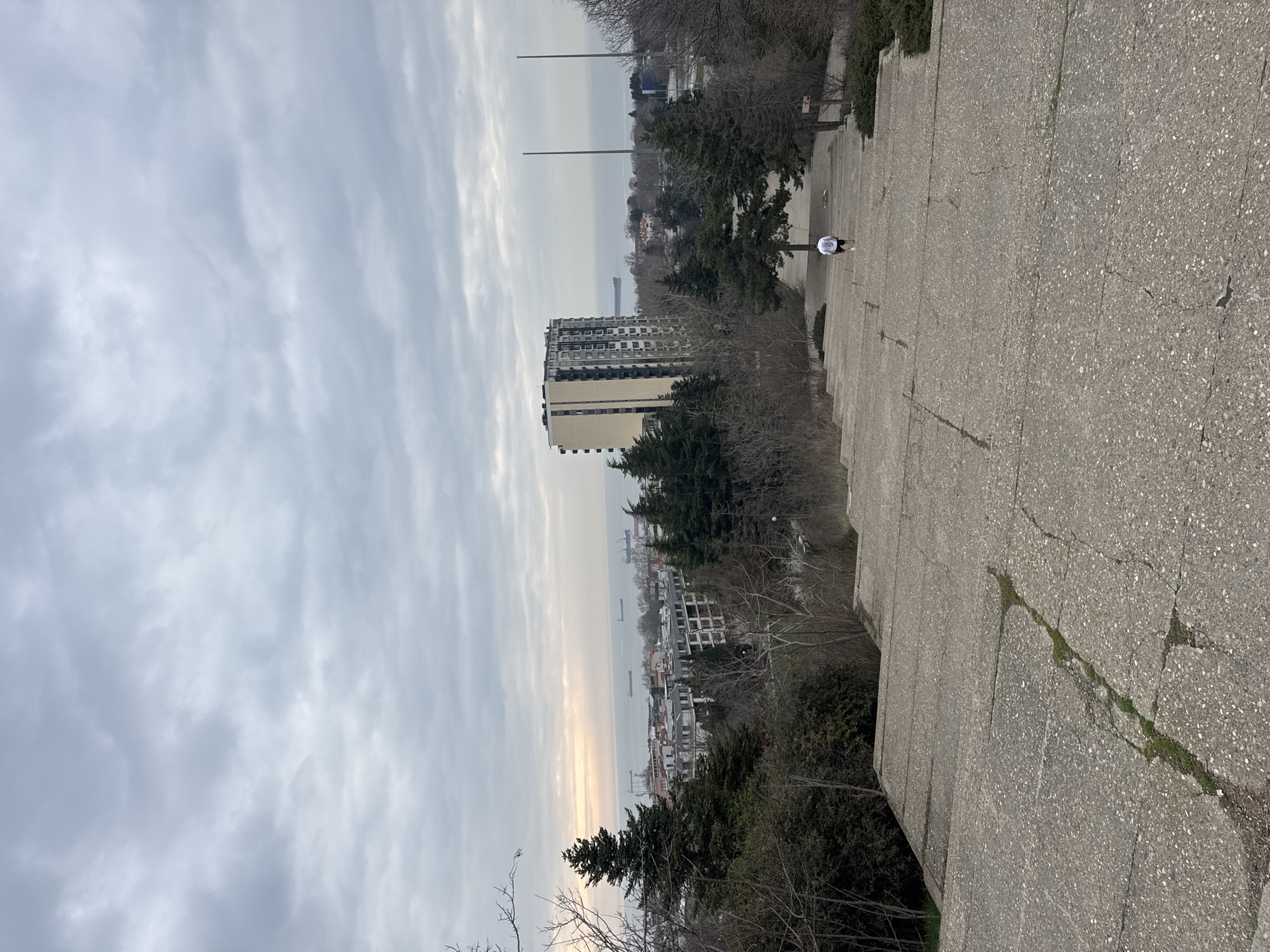 The image shows a view from the Monument of the Soviet-Bulgarian Friendship in Varna, Bulgaria. The view overlooks the city and the Black Sea. A person is visible on the stairs of the monument. A tall building is prominent in the cityscape. The sky is cloudy. Trees and vegetation are present on the hillside. Several cargo ships are visible in the sea.
