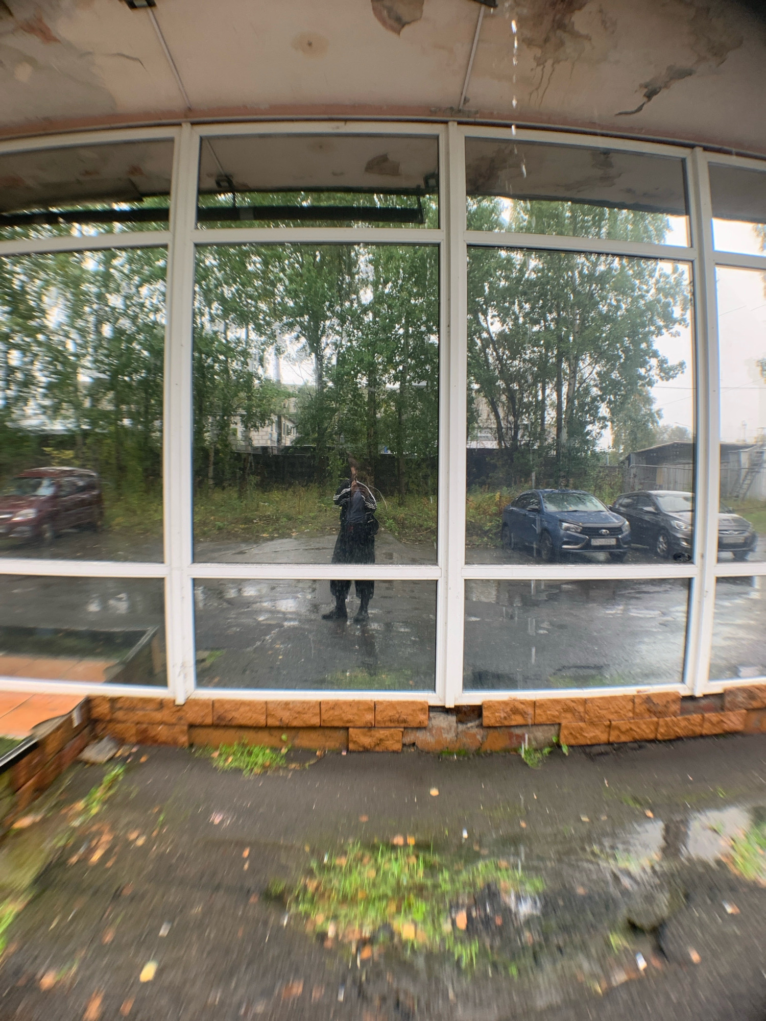 The image depicts an exterior view of a building with large glass windows, likely in Arkhangelsk, Russia, as indicated by the presence of water droplets and reflections suggesting a damp or rainy environment. The building's exterior appears to be in a state of disrepair, with visible water damage and peeling paint on the ceiling of the covered walkway in front of the windows.
Through the glass, several cars are visible parked on what appears to be a wet asphalt surface. To the left, a dark red car is parked. In the center-right, a dark blue sedan and a darker, possibly black or dark gray, car are parked side-by-side. Beyond the cars, trees and some residential buildings are reflected in the windows, indicating an urban or suburban setting.
In the reflection within the central window panel, a person is visible standing on the wet ground. They are wearing dark clothing, including what appears to be a backpack, and dark boots. The person is holding up a device, likely a camera or smartphone, and taking a photograph of their own reflection and the surrounding environment.
The ground in front of the building is wet asphalt with patches of green grass growing through cracks and edges. Fallen leaves are scattered across the ground, also suggesting a season like autumn. The overall atmosphere of the scene is somber and somewhat neglected, with the water and the state of the building contributing to this impression.