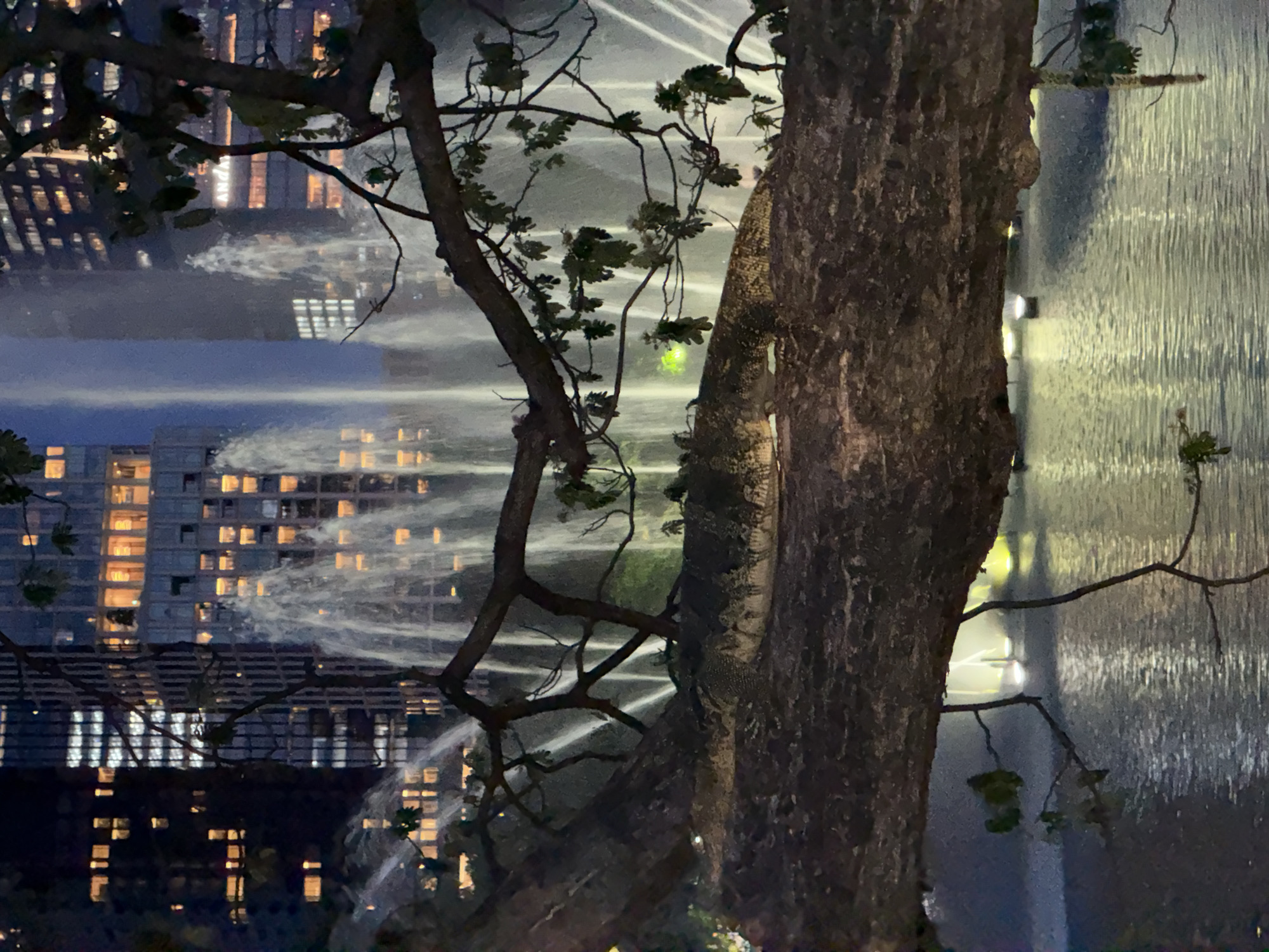 The image depicts a night scene in Bangkok, Thailand. In the foreground is a tree trunk with branches extending towards the left side of the frame. In the background, illuminated buildings are visible, with beams of light or water spray crisscrossing in front of them. The scene appears to be near water, as reflections of the buildings are visible. The buildings and the patterns of light suggest a modern urban environment.