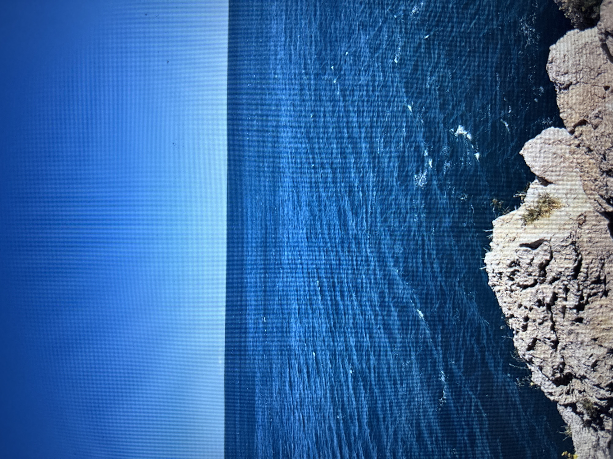 This image depicts a serene, vast expanse of deep blue ocean under a clear, bright blue sky. The horizon line is sharp and distinct, separating the water from the sky. The ocean's surface is textured with subtle ripples and small whitecaps, indicating a gentle breeze. In the foreground, the edge of a rocky cliff face is visible. The rocks are light-colored, rough, and uneven, with some sparse, dry vegetation clinging to them. The image does not show any people, buildings, or vehicles, and therefore cannot be located in Sofia, Bulgaria. It is a natural landscape scene.