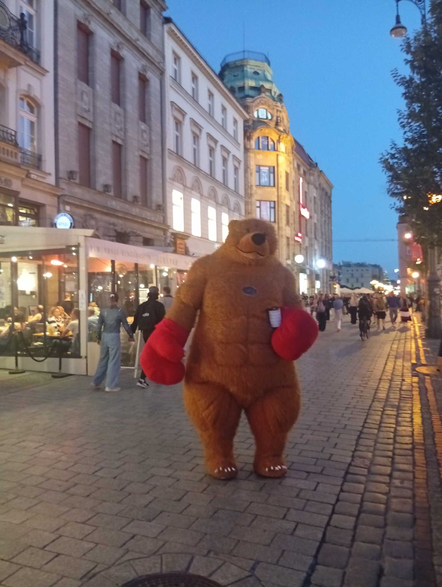 In the city of Wrocław, Poland, at dusk, a person in a full-body brown bear mascot costume stands on a cobblestone street. The bear wears large red boxing gloves and holds a white cup in its right hand. The street is lined with buildings, a restaurant with outdoor seating, and streetlights casting a warm glow. Several pedestrians walk along the street in the background, some appearing to be couples or small groups. The sky is a deep blue, indicating the evening hour.
