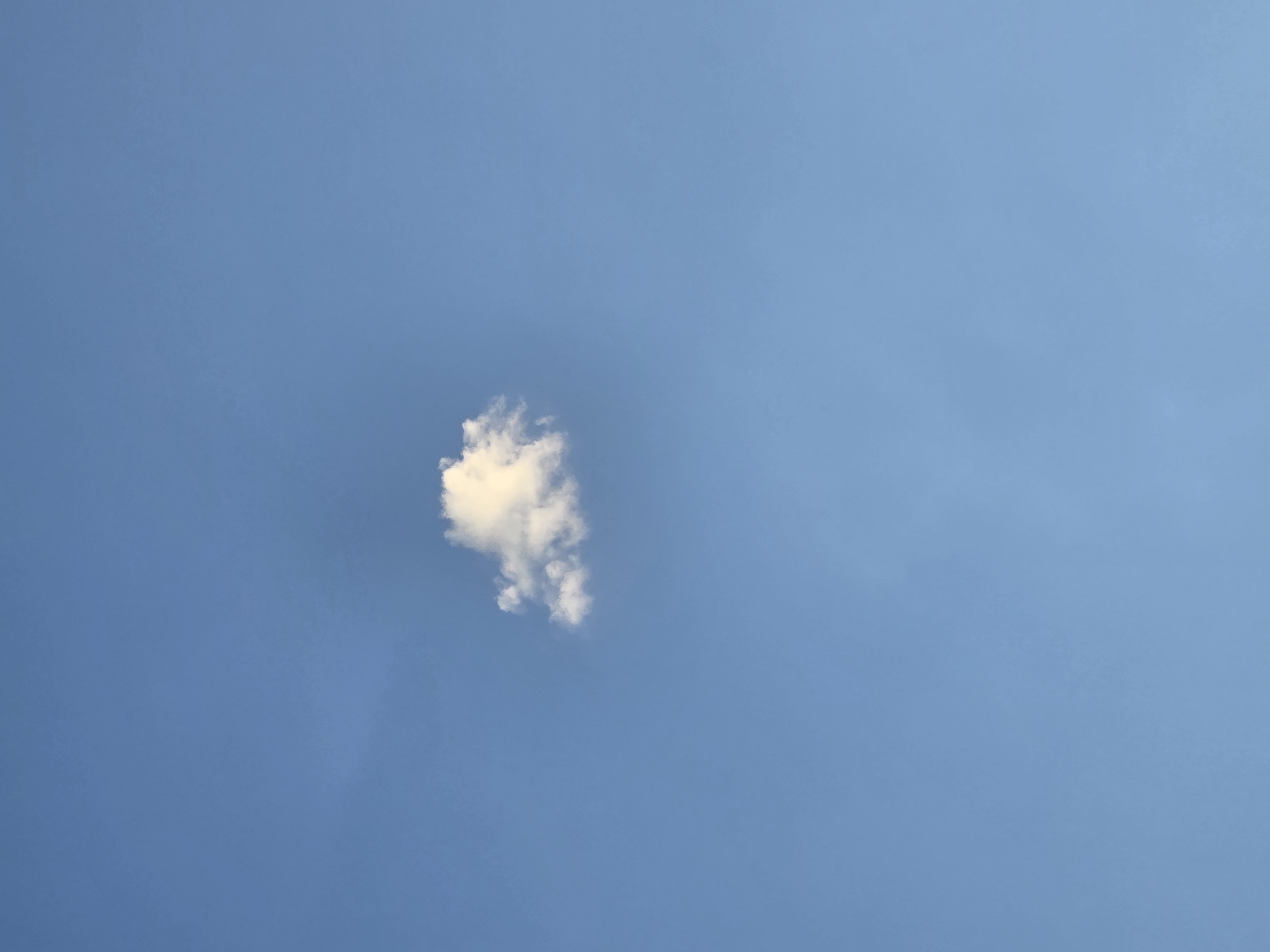 The image is a vertical, medium shot of a single, small, fluffy white cloud against a clear, light blue sky. There are no discernible landmarks or elements that would allow for the identification of the specific location within Plovdiv, Bulgaria. The scene is devoid of any people, objects, actions, or interactions. The environment is solely characterized by the cloud and the expansive sky.