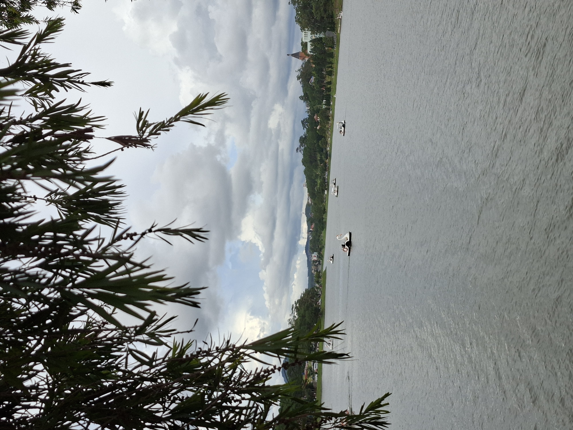 The image depicts a serene lake with several swan-shaped pedal boats on its surface, set against a backdrop of a tree-lined shore and a cloudy sky. In the distance, buildings and a church tower are visible, suggesting an urban or semi-urban setting. The foreground is partially obscured by the branches and leaves of a tree. The water is calm, reflecting the overcast sky. The scene appears to be a recreational area, possibly a park or a tourist attraction.