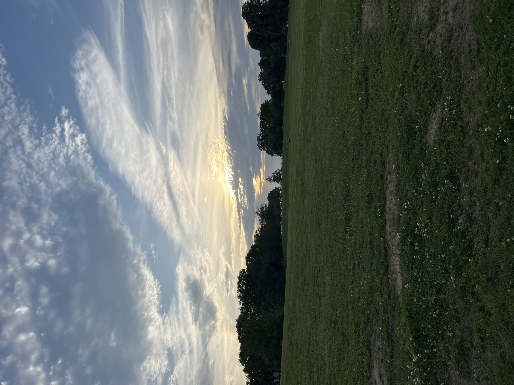 The image shows a landscape with a field in the foreground and a partly cloudy sky with the sun setting in the background. The field appears grassy with some bare patches and small white flowers dotted across it. A line of trees borders the field, separating it from the sky. The sky is a mix of blue and clouds, with the sun creating a bright glow. The location is City of New Rochelle, United States of America.