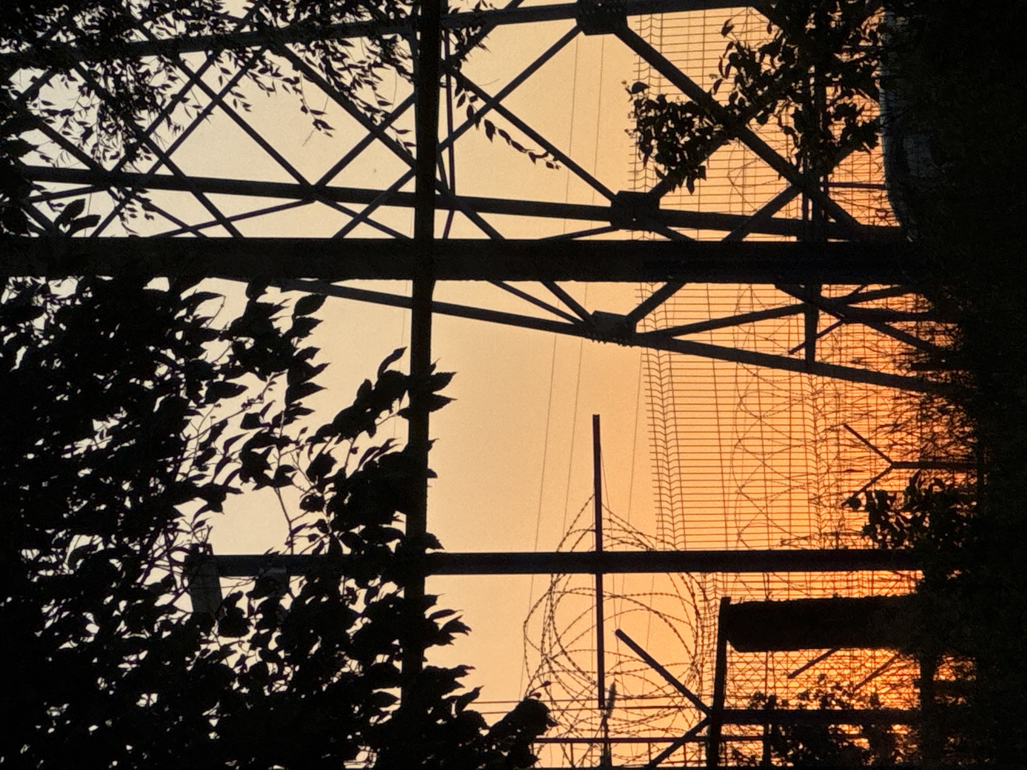 The image shows a silhouetted fence with barbed wire and a power line tower against an orange sky at dusk. The foreground is dominated by dark silhouettes of trees and bushes. The fence is made of metal mesh with barbed wire coiled on top. A tall, dark, cylindrical object, possibly a concrete pillar, stands near the left side of the fence. Behind the fence, the skeletal structure of a power line tower is visible, its diagonal supports forming a geometric pattern against the sky. The sky itself is a gradient of orange and yellow, indicating the setting sun. The overall scene suggests an industrial or perimeter-controlled area at the end of the day. There are no people or animals visible in the image.