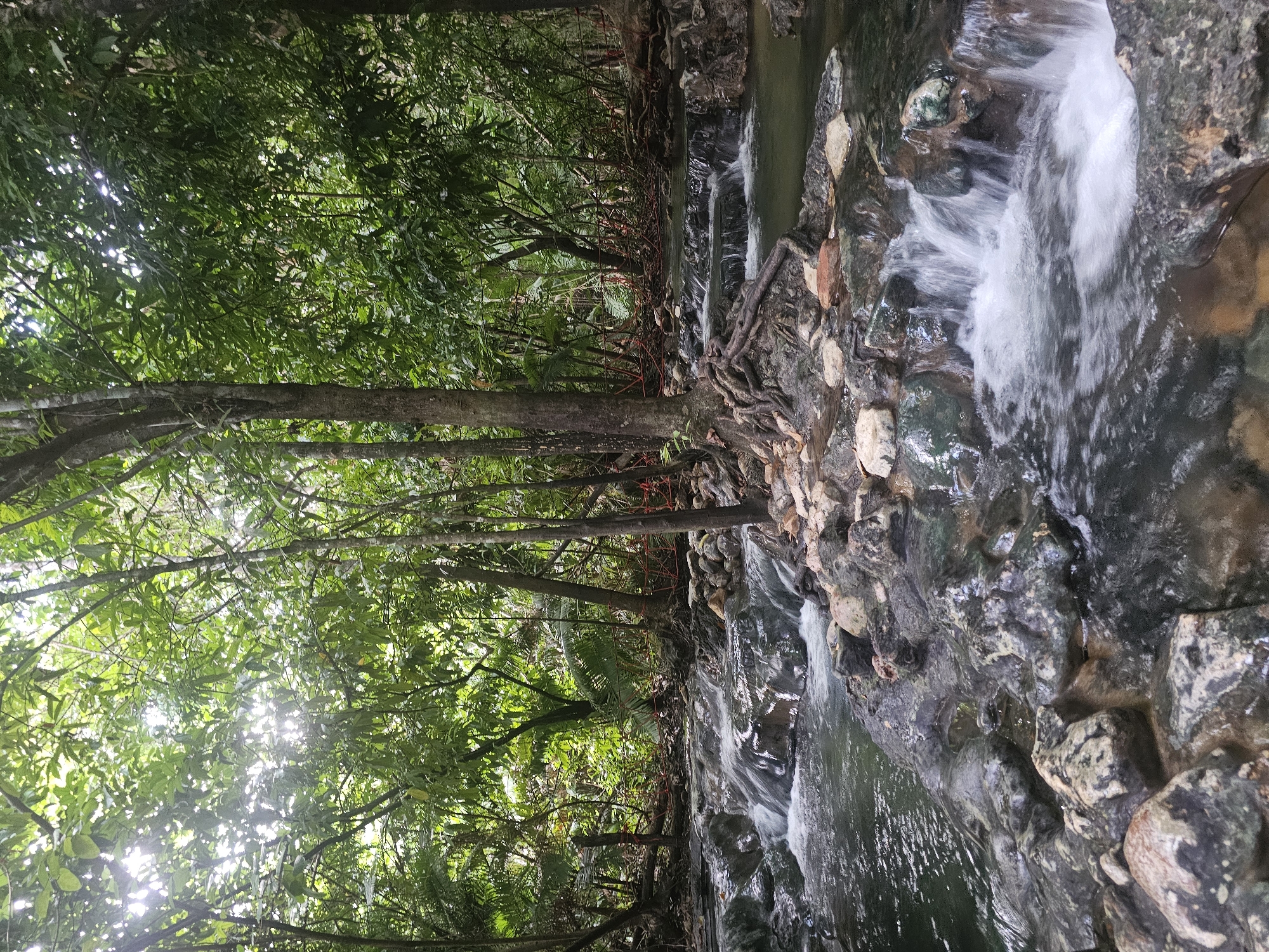 The image depicts a natural hot spring with a small waterfall cascading over rocks. Lush green foliage and trees surround the area, suggesting a tropical or jungle-like setting. Sunlight filters through the leaves, indicating it is daytime. The water appears clear and is flowing over dark, textured rocks, some of which are partially submerged. The scene conveys a sense of tranquility and natural beauty. The orientation of the image is landscape, with the stream and rocks occupying the right side and the forest the left. There are no people or visible text in the image. The location is identified as Tambon Khlong Thom Nuea, Thailand, which is known for its natural hot springs.