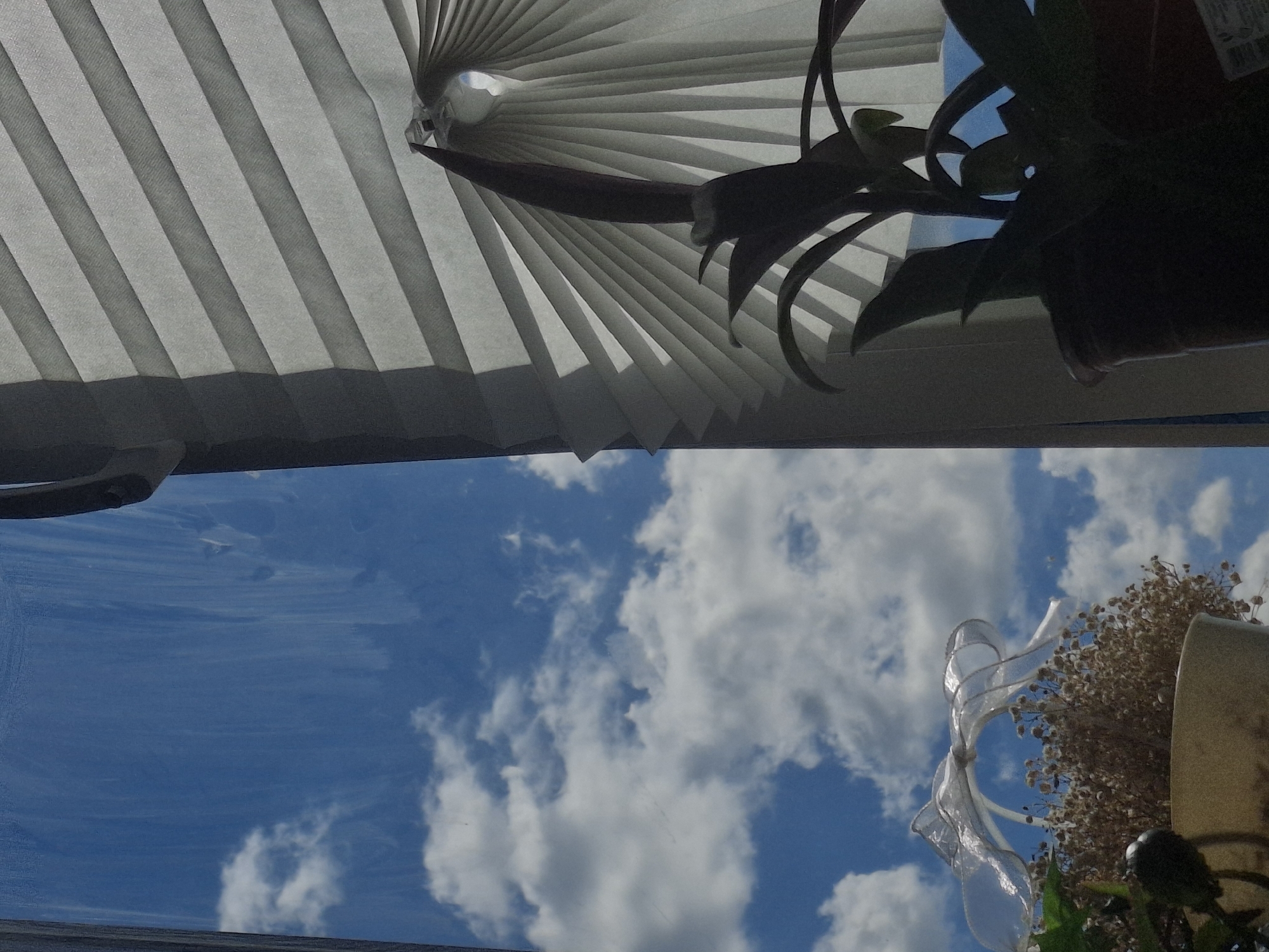This is a close-up, low-angle, indoor shot looking out of a window. The frame is divided vertically. On the left, a bright blue sky with scattered white clouds is visible through a slightly dirty windowpane. On the right, a white, pleated window blind is partially drawn, casting a shadow. In the foreground, on the right side of the frame, a dark green houseplant with long, pointed leaves is silhouetted against the blind. A small part of a tan pot is visible. On the left side of the frame, partially obscured by the plant and out of focus, is a bouquet of dried flowers adorned with a delicate white ribbon bow, placed in a tan pot. The scene appears to be a residential window in Novosibirsk, Russia, on a clear day.