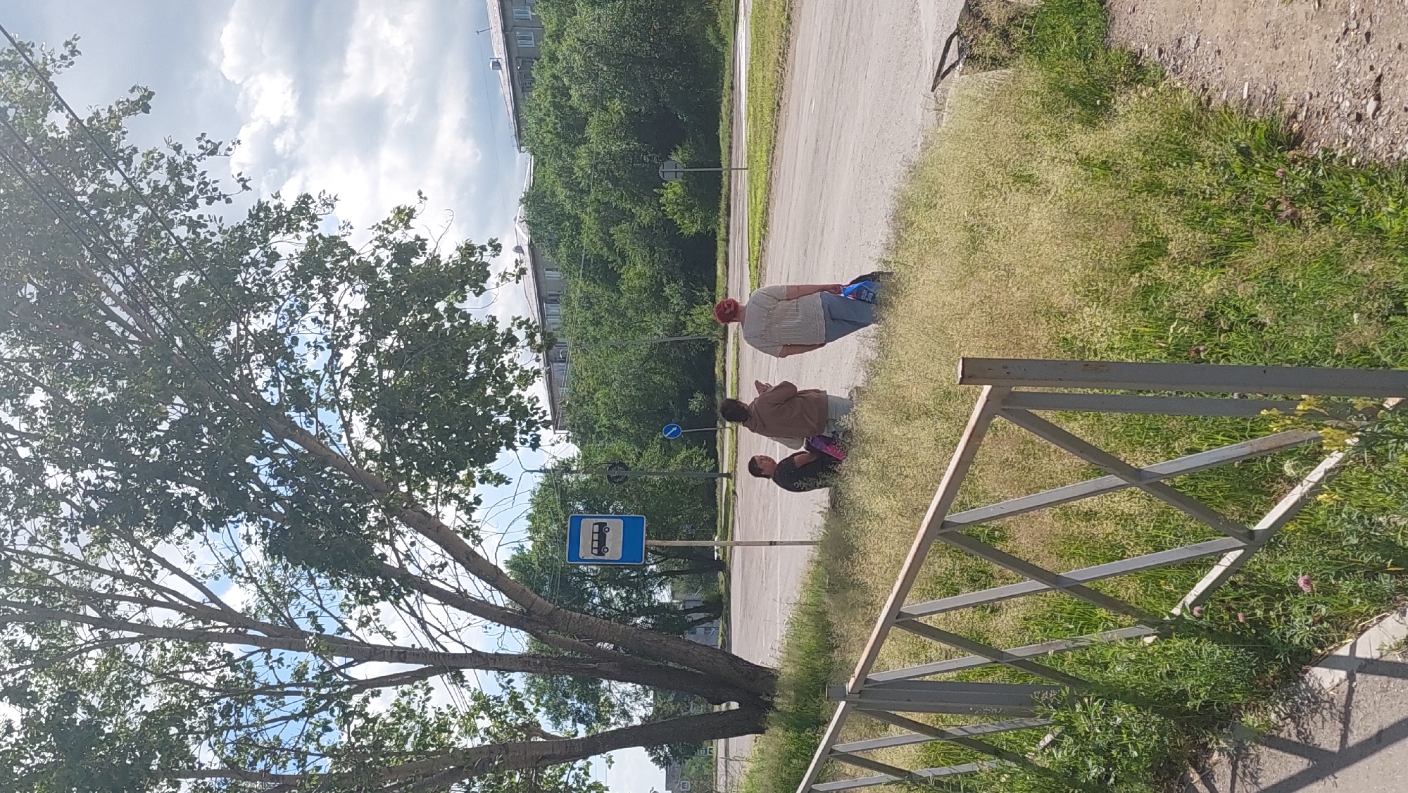 The image depicts a bus stop scene in Amursk, Russia. In the foreground, a metal fence runs diagonally from the bottom left to the center. Behind the fence, tall, dry grass and some green vegetation are abundant. Three individuals are visible near a blue bus stop sign. One person is sitting on the ground, facing left, wearing a dark shirt and holding a colorful bag. Another person stands to their right, facing forward and slightly left, wearing a brown hooded jacket and holding a phone or similar object. The third person stands further to the right, facing away from the camera, wearing a light-colored patterned shirt and blue pants, carrying a dark blue bag. A large tree with sparse leaves dominates the left side of the frame, with its branches extending towards the top. In the background, a paved road is visible, with trees and apartment buildings lining the horizon under a cloudy sky.