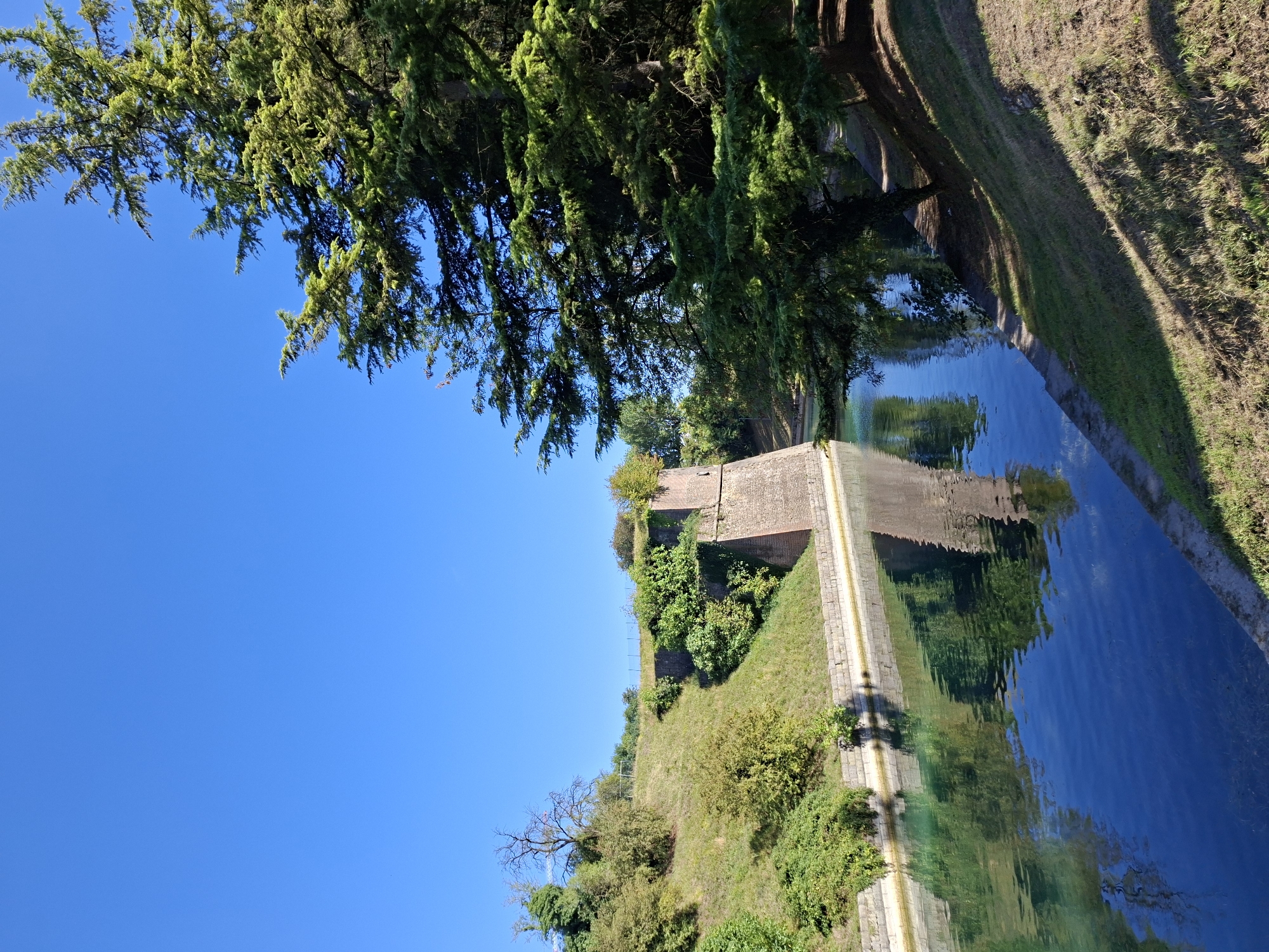 The image shows a sunny day in Peschiera del Garda, Italy, with a clear blue sky. A canal with still, blue water runs along the bottom of the frame, reflecting the surrounding environment. On the left, a grassy embankment rises steeply, covered in green vegetation and a few trees. A section of an old brick fortification juts out from the embankment, its weathered stones hinting at historical significance. On the right, a large, mature evergreen tree with dense foliage dominates the foreground, casting dappled shadows on the grassy slope below. The canal appears to be part of the Venetian defense system of Peschiera del Garda, a UNESCO World Heritage site, known for its well-preserved fortifications.