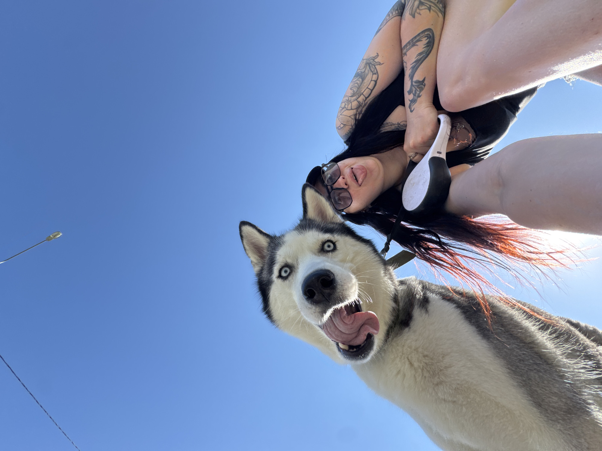 A low-angle, overhead shot depicts a woman with tattoos and a husky dog against a clear blue sky. The woman is positioned at the top right of the frame, her body angled downwards. She has dark hair with red highlights, wears glasses, and sticks her tongue out. Her arms are bent, showcasing tattoos on her forearms and upper arms. In her right hand, she holds a white and black object. The husky, positioned closer to the bottom left, looks directly at the camera with wide eyes and its tongue out. A collar is visible around the dog's neck. In the background, a street light pole is visible on the far left. The environment appears to be an outdoor space within the city of Unknown, Unknown.