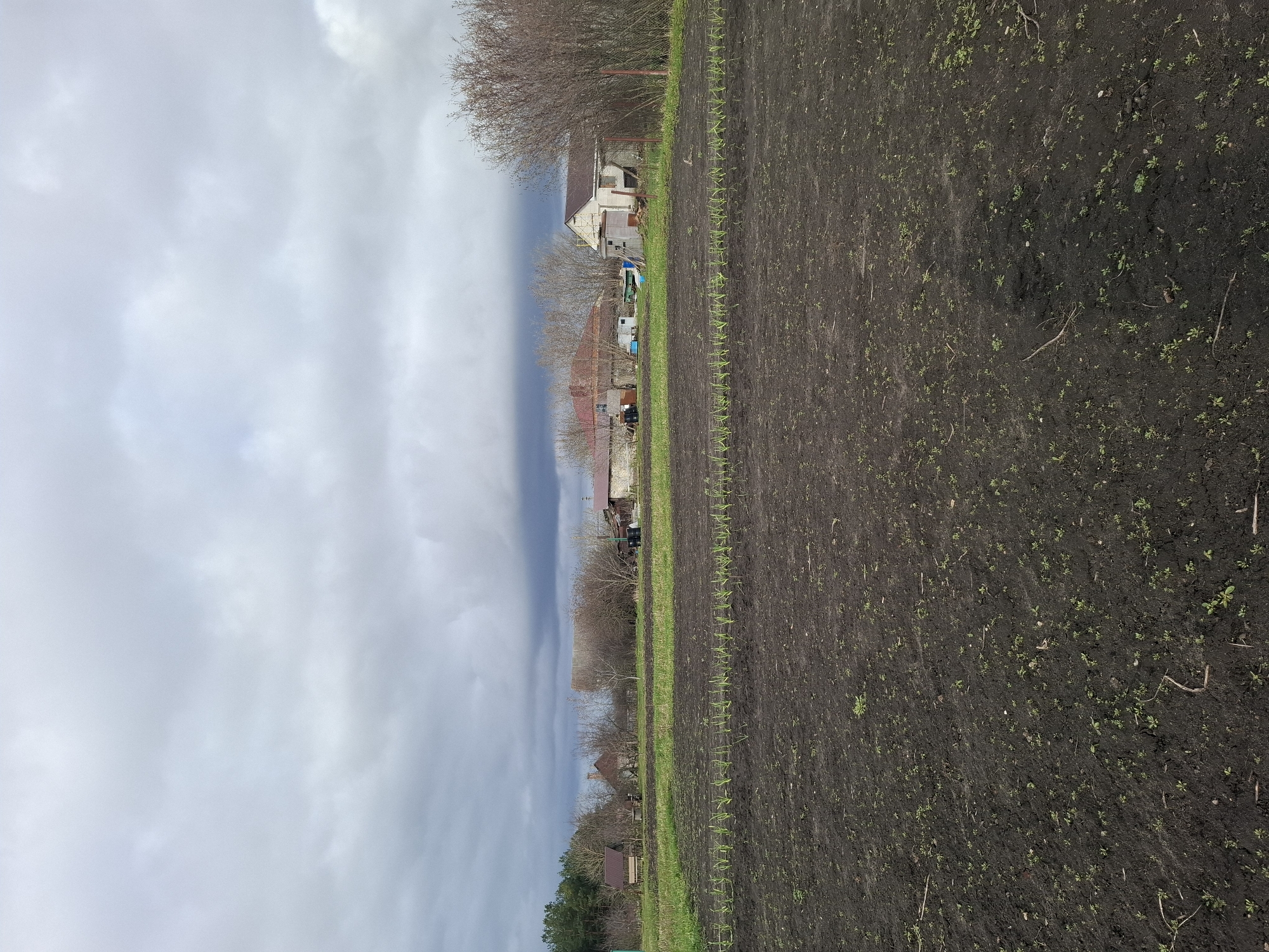 The image depicts a rural scene in Khlevnoye, Russia. The foreground is dominated by a field of dark soil, where young sprouts are emerging in rows. To the left of the field, there is a grassy area leading to a cluster of buildings including residential houses and a barn, some of which are painted in rustic colors. Bare trees are interspersed amongst the buildings. The sky is overcast with a mix of dark and light clouds.