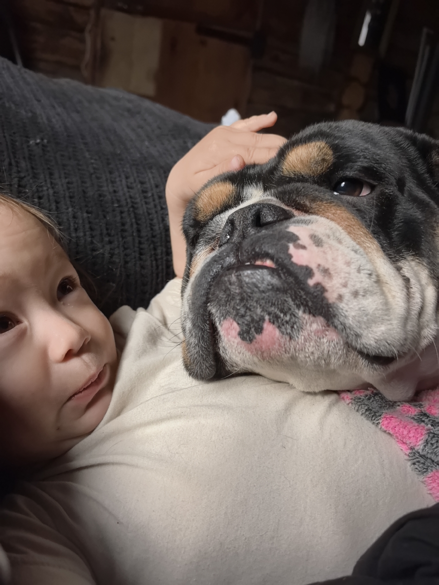 A child and a bulldog are lying down together. The child is on their back, looking up at the dog, which is resting its head on the child's chest. The bulldog is black, white, and brown. A pink and gray striped blanket is visible. The background is dark and out of focus. There is no evidence that this photo was taken in Noviy, Russia.