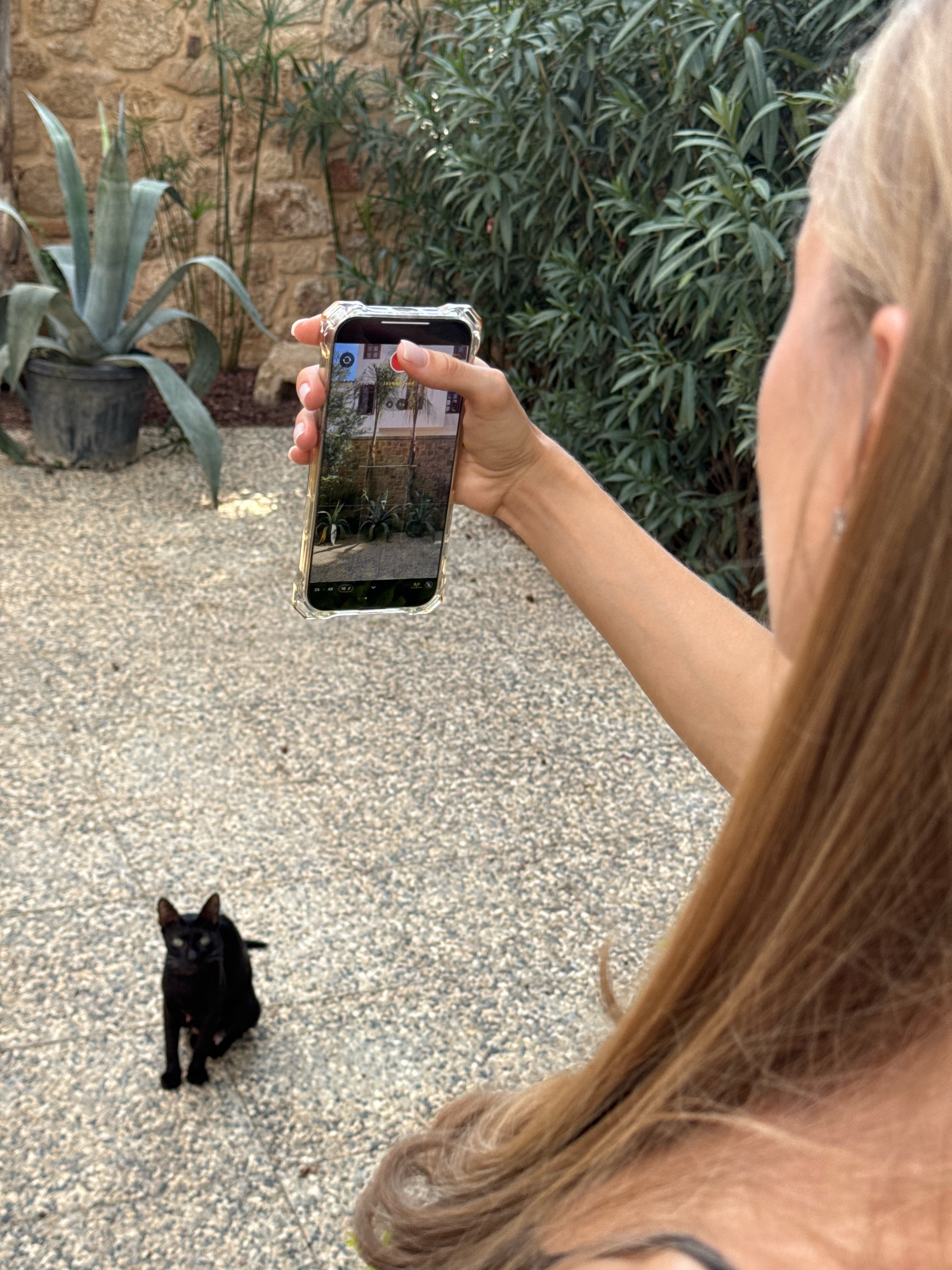 In Antalya, Turkey, a person with blonde hair is taking a photo of a black cat with their smartphone. The cat is sitting on a gravel surface. In the background, there is a stone wall, a large potted plant, and dense green foliage. The scene appears to be an outdoor courtyard or garden.