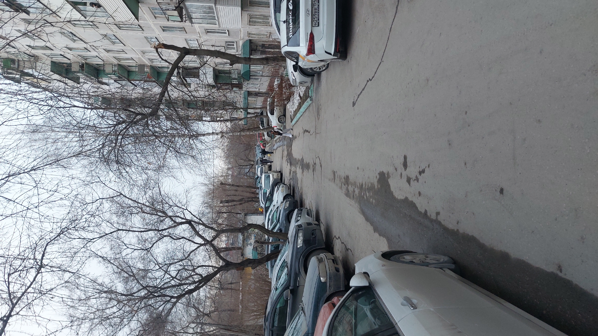 The image shows a street scene in Novosibirsk, Russia. A line of parked cars is visible on the right side of the frame, along the edge of an asphalt road. The cars are of varying colors and models. A multi-story residential building is present on the left side, with bare trees lining the street. The sky is overcast. Several people are visible between the parked cars, though they are at a distance.