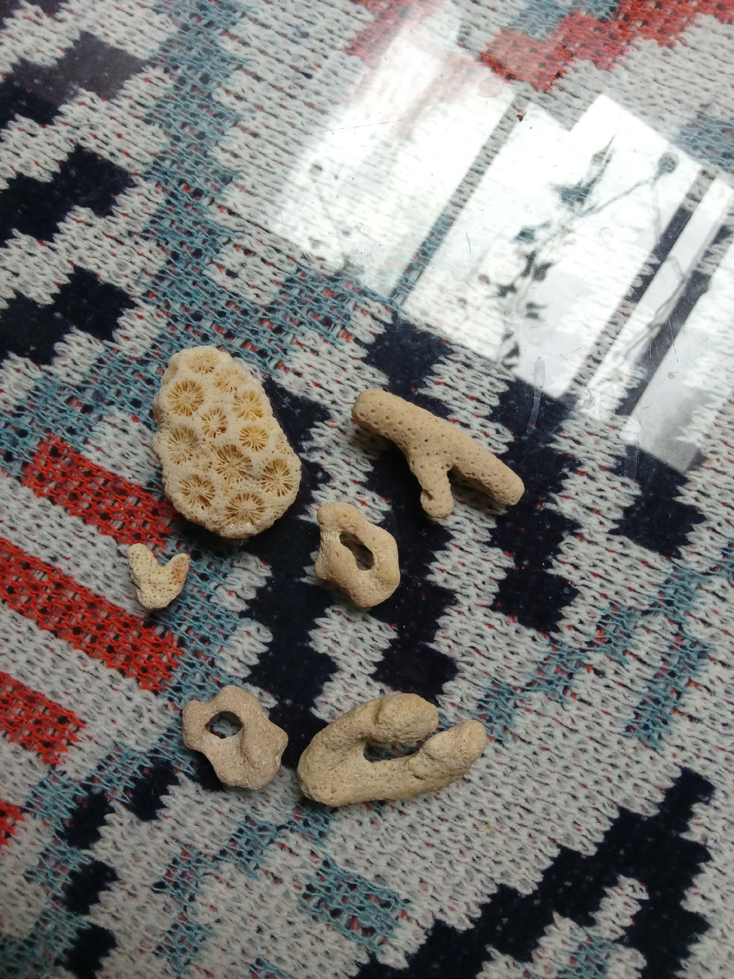The image shows six pieces of marine coral on a textured, woven surface, possibly a placemat or table covering. The coral pieces vary in shape and size, ranging from a small, heart-shaped fragment to larger, branching and porous structures. The woven surface features a geometric pattern of black, white, red, and blue. A section of reflective material is in the top right corner of the image. The location of the coral in the city of Bac Natural Heritage Area Trang, Vietnam, is provided.