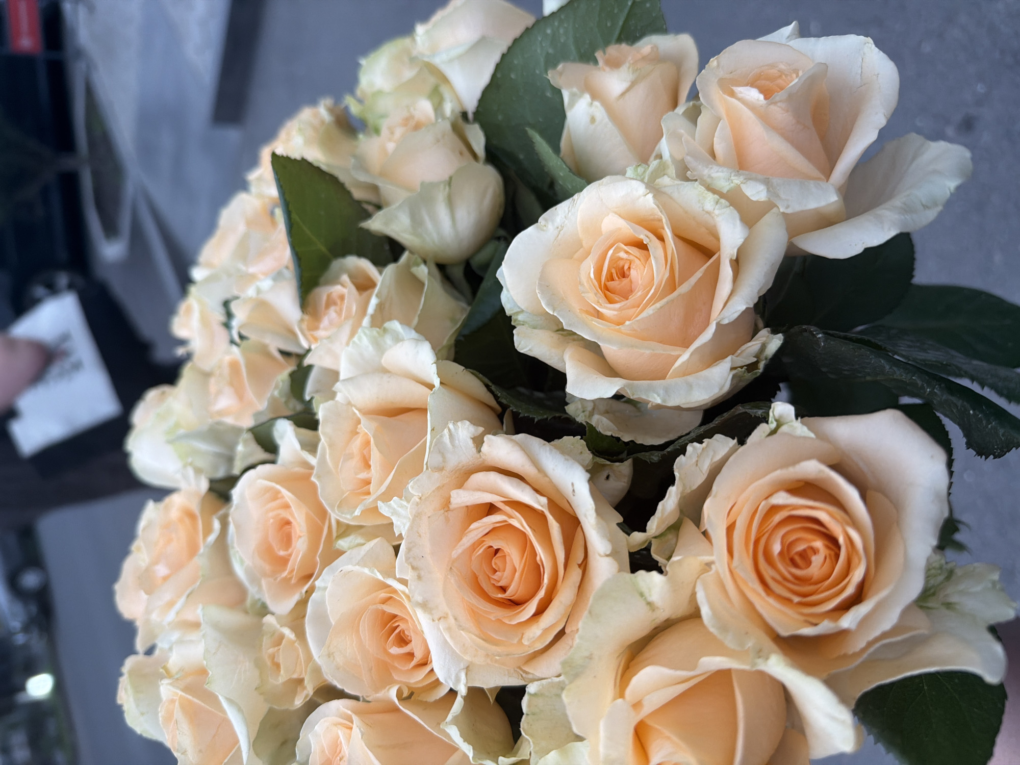 A close-up, overhead shot shows a bouquet of pale peach and cream roses, some fully bloomed and others in bud. The roses are arranged densely, with dark green leaves interspersed. The background is blurred, revealing a street scene with pavement, a curb, and a hint of vehicles and buildings. The lighting suggests it is daytime, likely outdoors. The specific location in Yerevan, Armenia, is not discernible from the visual information provided in the image.
