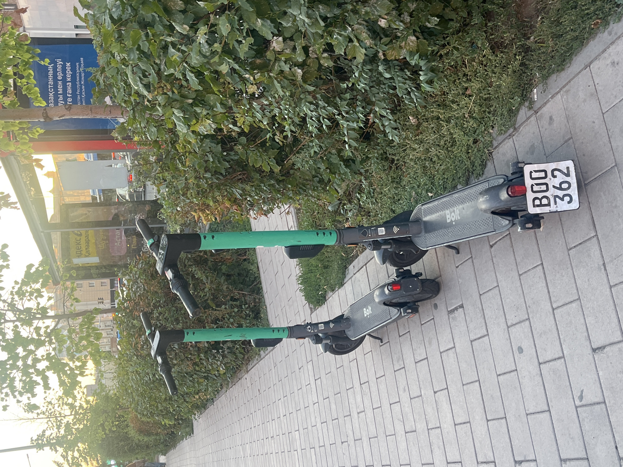 In Astana, Kazakhstan, two green Bolt electric scooters are parked on a light grey paved walkway next to a dense green hedge. The scooter in the foreground has a license plate that reads "B00 362". Behind the hedge, buildings and trees are visible. The sun is setting, casting a warm light on the scene.