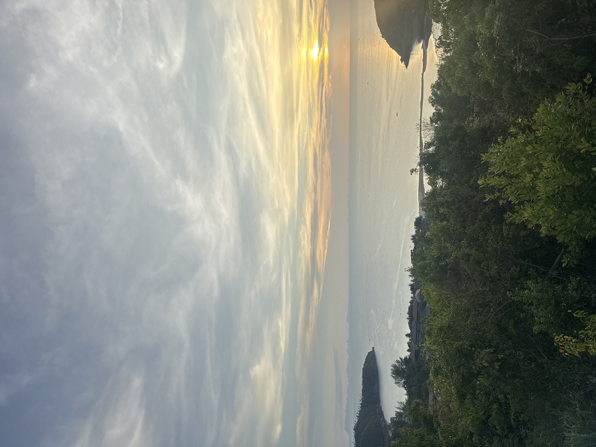A photograph captures a broad panorama of a coastal scene during the early hours of the morning, possibly at dawn. The sky exhibits a dramatic display of wispy clouds. The sun rises over a calm ocean, its bright light reflecting off the water. The shoreline is interspersed with trees and plants, with a distant island visible in the background.