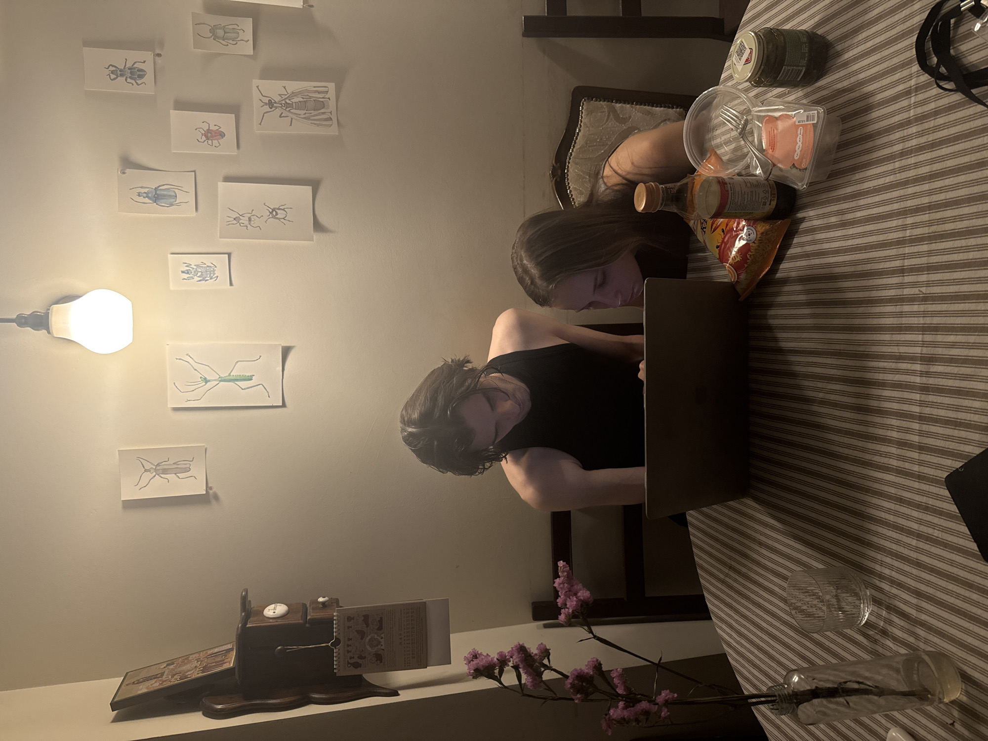 Two individuals are working at a table covered with a striped tablecloth. On the table, there's a laptop, some food containers, a bottle of sauce, and a bag of chips. A clear glass and a glass bottle with flowers are also visible. On the wall, there are several drawings of insects and a light fixture. Below these, there is an antique-looking machine and a book on a shelf. The location is impossible to determine from the visual information provided.