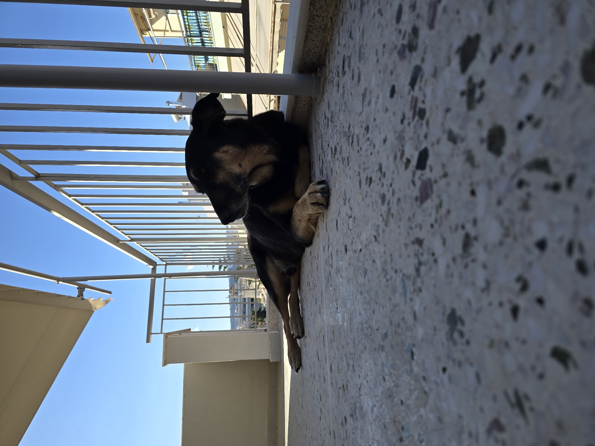 A medium shot captures a dog lying down on a stone-tiled balcony in Agii Anargiri, Greece, under a clear blue sky. The dog, a mix of black and tan fur, is positioned on its side, facing left and looking slightly upward and away from the camera. Its front paws are extended forward. The balcony features a white railing composed of vertical bars and a horizontal top bar, behind which buildings with balconies and awnings are visible in the distance. A white retractable awning extends from the top of the frame, casting a shadow. The flooring of the balcony is a speckled grey terrazzo. The lighting suggests it is daytime, with shadows cast on the balcony floor, indicating sunlight.