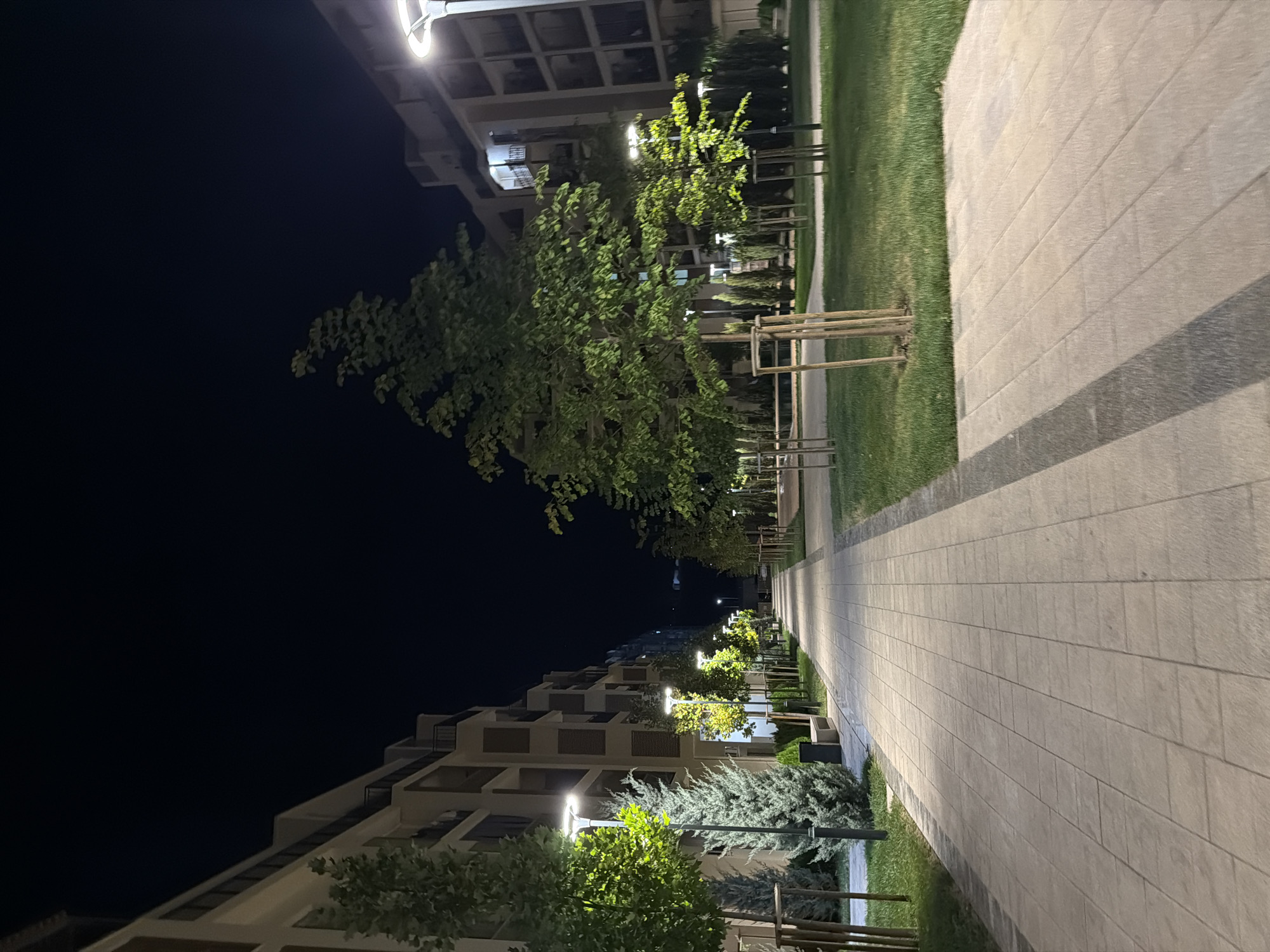 An outdoor, long-shot, eye-level, night-time photograph shows a well-lit pedestrian walkway in the city of Chinarkent, Uzbekistan. The walkway is paved with rectangular light-colored stone tiles and is bordered by manicured green grass and small, immature trees supported by wooden stakes. On either side of the walkway are modern, multi-story apartment buildings with balconies and windows. Streetlights with upward-facing, white-hot lamps are evenly spaced along the walkway, casting a warm glow. The sky is dark and clear.