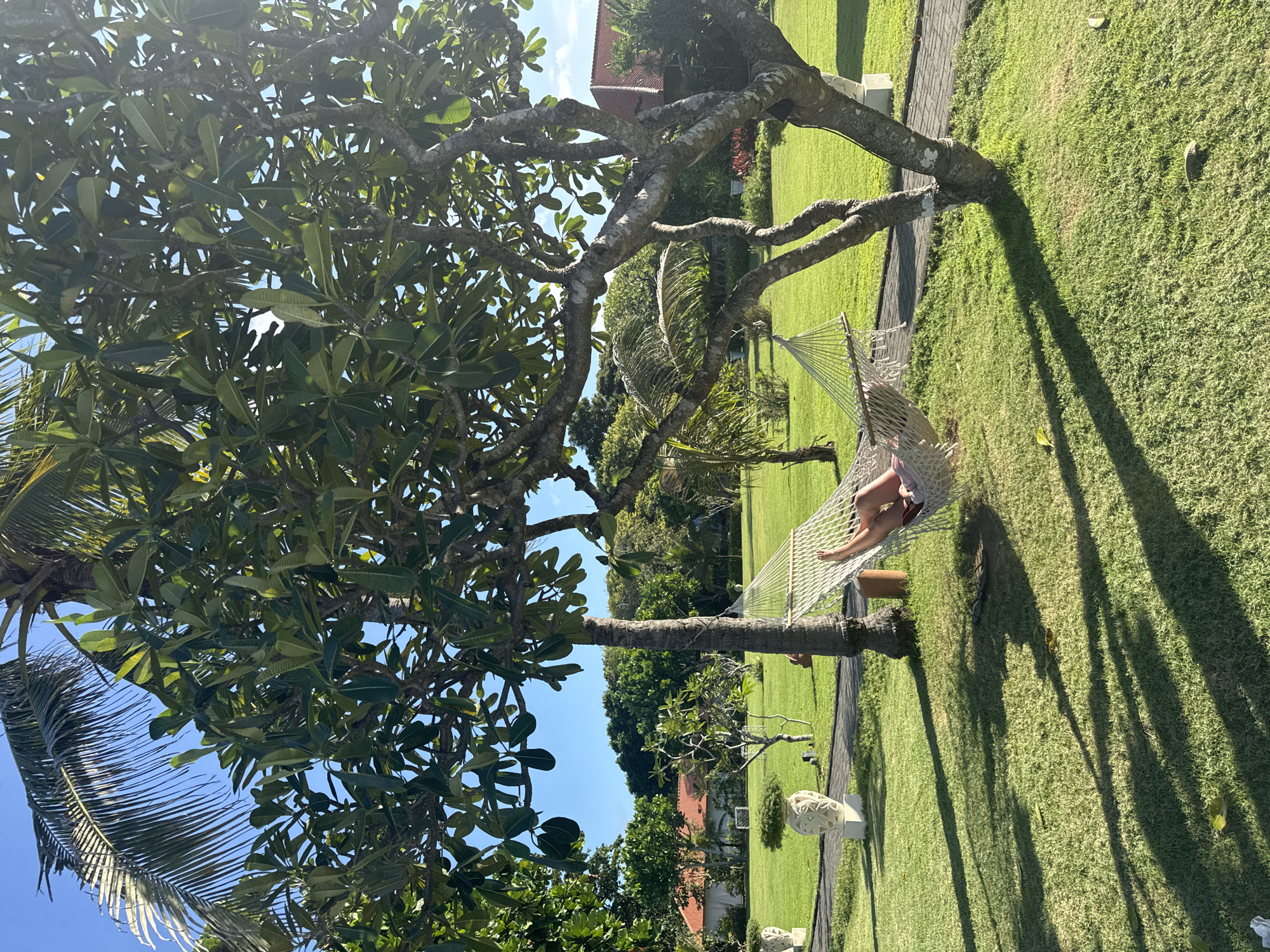 A wide, eye-level outdoor shot depicts a hammock strung between two trees in a grassy yard in Kuta Selatan, Indonesia. A person reclines in the hammock with their bare feet visible. The foreground features a large tree with dense green foliage on the left side of the frame. Behind the trees and hammock, the yard stretches into the distance, with a brick walkway and a few houses with orange tile roofs visible in the background. The sky is clear and blue.