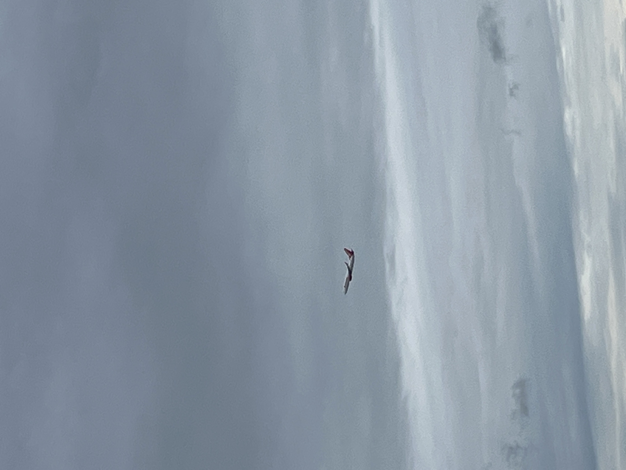 An airplane with red accents on its tail and wings is visible in a grey, cloudy sky. The plane is in mid-flight, at a distance, and appears to be ascending. The image was taken from a low angle, looking up at the sky. The background is composed of layers of grey clouds, suggesting overcast weather conditions. There are no discernible landmarks or structures visible in the image, making it impossible to determine a specific location within Varna, Bulgaria.