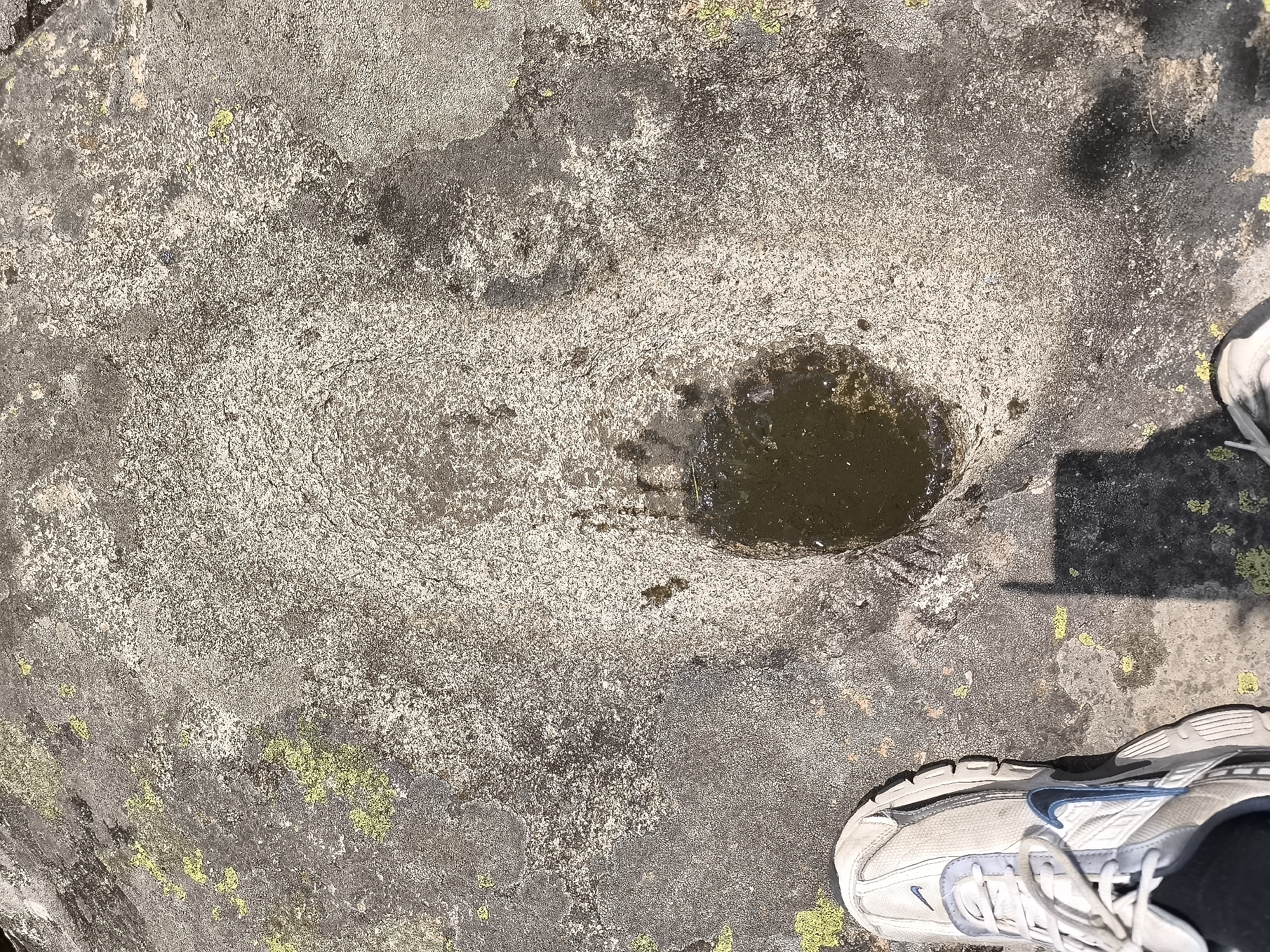 An overhead, close-up shot captures a rocky surface in Dolno Drianovo, Bulgaria, with a small, dark puddle of water centrally located. The rock appears weathered and textured, with patches of light gray and darker, rougher areas. Scattered across the surface are patches of vibrant green moss or lichen. In the bottom right corner, a white athletic shoe with blue accents is visible, suggesting the presence of a person. The shoe is positioned on the rocky terrain, and a shadow cast from the right indicates a light source, likely the sun, from that direction. The overall scene suggests an outdoor, natural setting.
