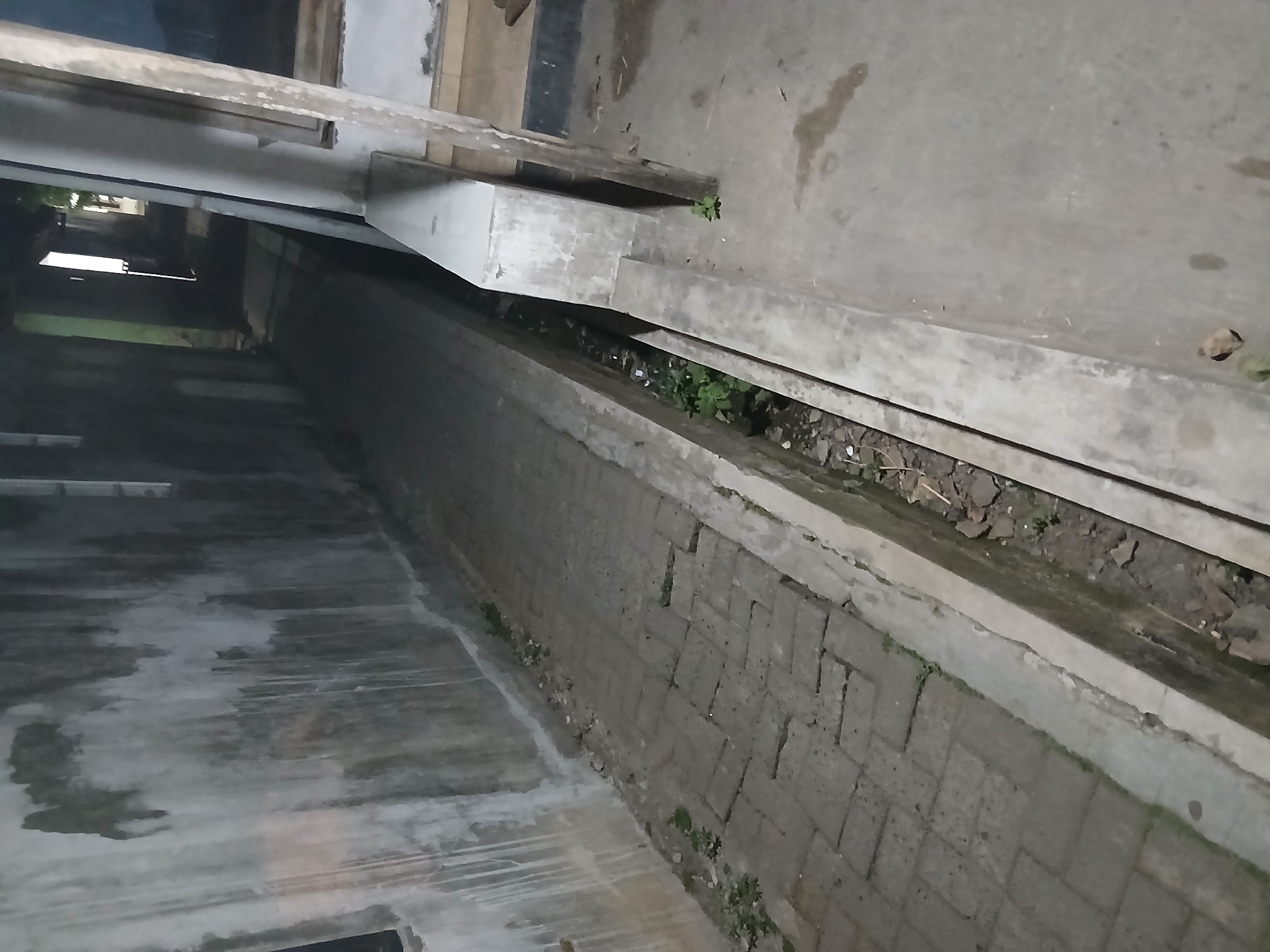 The image depicts a narrow, outdoor pathway running between two walls, likely in a residential area of Tenggarang, Indonesia. The pathway is paved with interlocking concrete blocks, some of which appear worn or slightly displaced. To the left, a weathered concrete wall features dark, vertical stains, possibly from water runoff or mold. On the right, a concrete drainage channel runs alongside the pathway, containing dirt, debris, and sparse green vegetation. Beyond the channel, another concrete structure rises, part of a building or wall. The scene is dimly lit, suggesting it might be dusk or night. The pathway extends into the distance, narrowing and leading towards a dimly lit opening or alleyway, hinting at further structures or pathways beyond.