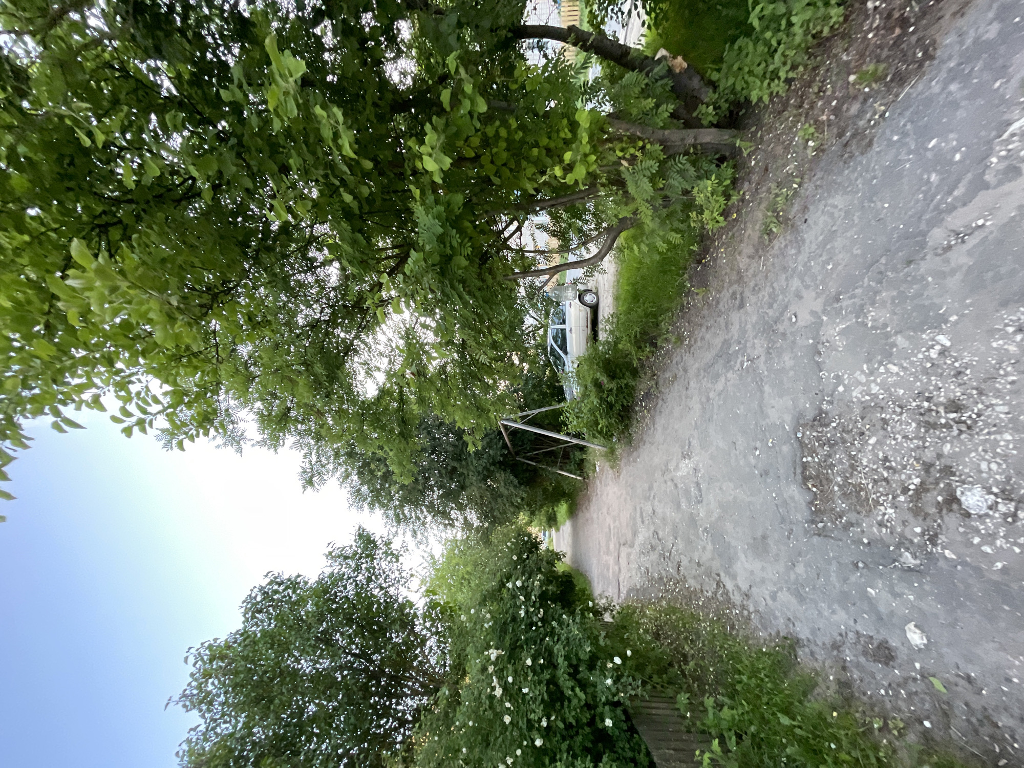 This is a forward-facing, eye-level shot of a paved path in the village of Krasnye Baki, Russia. The path appears to be a residential road or alleyway, flanked by trees and greenery on both sides. On the left, a wooden fence and a dense bush with white flowers are visible. On the right, a swing set and a light-colored car are parked near a building. The sky is clear and light blue, suggesting it is either early morning or late evening. The overall scene depicts a quiet, natural setting within a populated area.