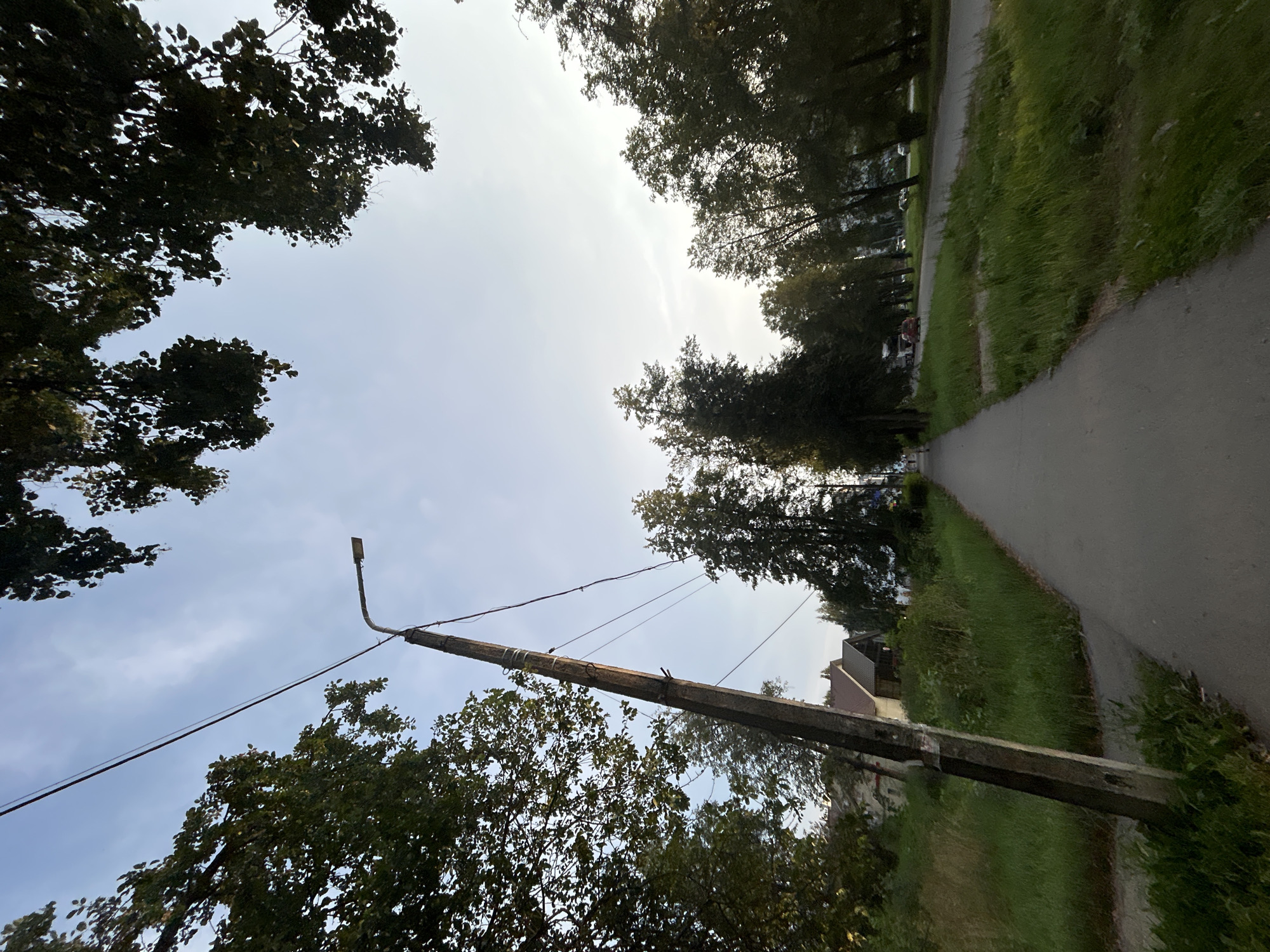 The image shows a wide-angle, low-angle shot of a sidewalk running through a tree-lined street in Chaikovsky, Russia. A weathered concrete utility pole with electrical wires stands prominently on the left side of the sidewalk. Tall green grass grows on either side of the sidewalk, with trees forming a canopy overhead. In the background, houses and other buildings are visible behind the trees. The sky is a pale blue with faint clouds, suggesting it is daytime. A few figures and vehicles are distantly visible on the road, indicating a typical urban street scene. The overall impression is one of a quiet, residential street on a calm day.