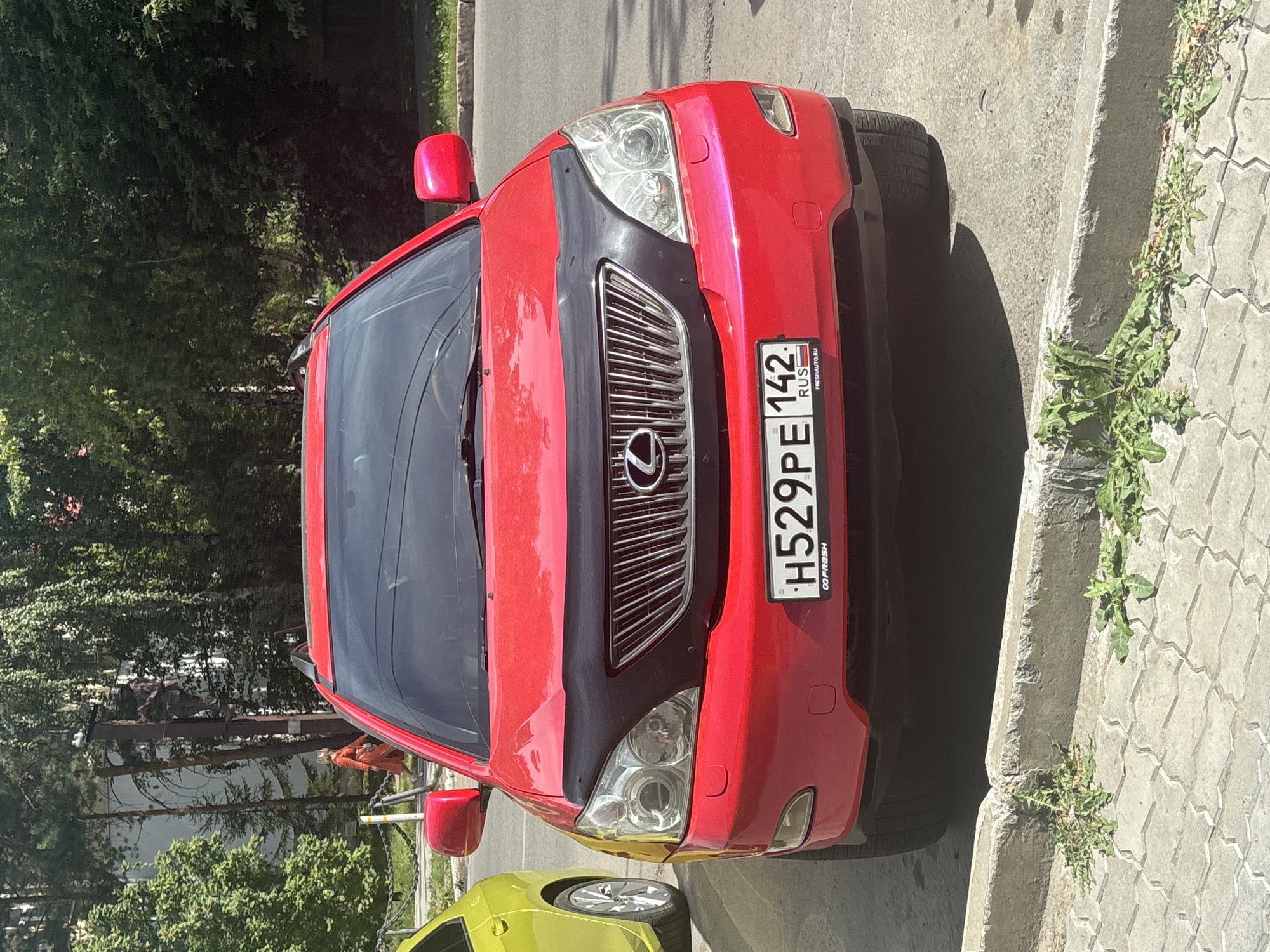 The image shows a red Lexus RX SUV parked on a street in Novosibirsk, Russia. The car has a black bug deflector on the hood and a license plate that reads H529PE 142. A yellow car is parked to the left of the Lexus. In the background, there are trees and a building. A woman in an orange dress is walking on the sidewalk to the left of the Lexus, and a person is climbing a utility pole in the background. The street is paved with asphalt, and the sidewalk is made of concrete. There is some vegetation growing on the sidewalk and along the curb. The weather is sunny.