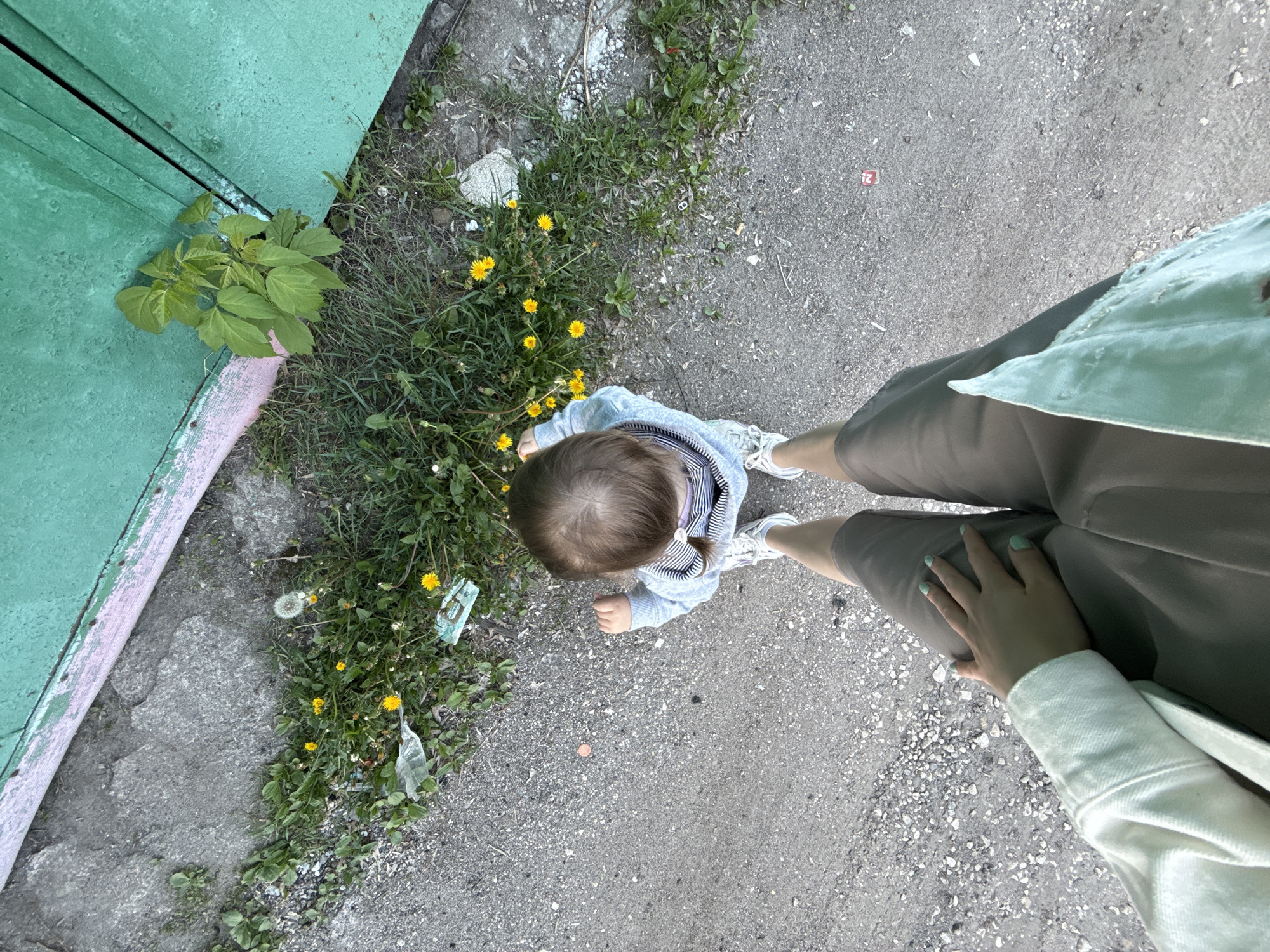 The image, taken from above, shows a child standing next to a patch of dandelions on a grey asphalt surface. The child is wearing a blue and white striped shirt and white shoes. Part of a green painted wall with pink trim is visible on the left. A person's legs and hand are visible on the right side of the image, suggesting they are standing next to the child. Based on the presence of a metal door painted green and dandelions, it can be inferred that the setting is likely an urban sidewalk/alleyway in Moscow, Russia.