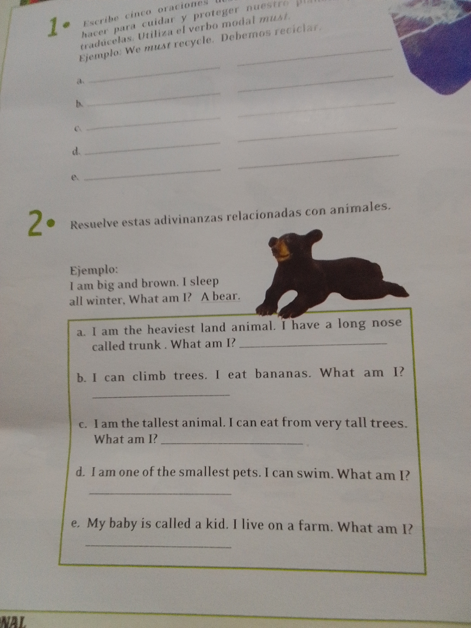 The image is a close-up shot of a page from a workbook or textbook. The page contains two main exercises. The first exercise, numbered "1.", instructs the user to write five sentences about taking care of the planet, using modal verbs, and provides an example: "We must recycle." Below this instruction are five blank lines labeled a. through e. for the user to write their sentences. The second exercise, numbered "2.", asks the user to solve riddles related to animals. It provides an example riddle with its answer: "I am big and brown. I sleep all winter, What am I? A bear." The exercise then presents five riddles labeled a. through e., each followed by a blank line for the answer. A small, dark-colored figurine of a bear is positioned next to the second exercise. The background is a light-colored paper, and the text is in Spanish, except for the example sentences in English. There is no discernible connection to the city of La Tagua, Venezuela, or any specific urban environment.