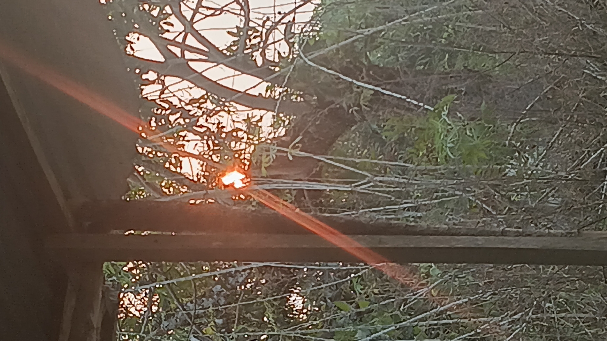 The image shows an outdoor scene with a wooden structure in the foreground, possibly part of a shelter or gazebo. Through the gaps in the structure, we see a dense cluster of trees and foliage. The sun is setting, casting a warm, orange glow and creating a sun flare that streaks across the image from the upper left to the lower right. The foliage is a mix of green and brown, suggesting it is either late afternoon or early evening, with some leaves illuminated by the setting sun. The overall impression is one of natural scenery viewed from a man-made vantage point. The specific location in Prabumulih, Indonesia is not discernible from the visual information provided in the image.
