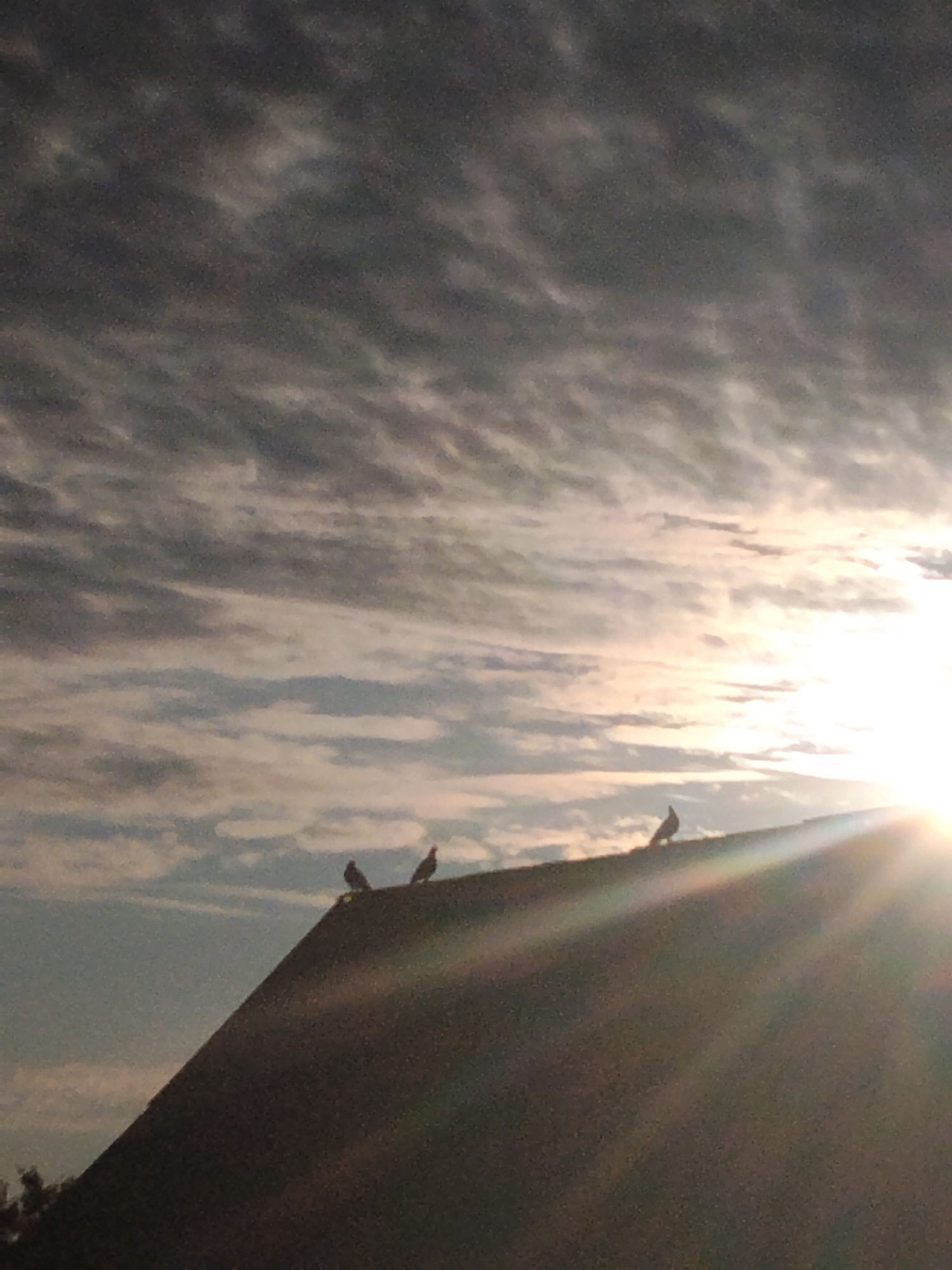 The image depicts a low-angle shot of a roofline against a dramatic sky at what appears to be sunrise or sunset. Three birds are silhouetted on the crest of the roof, with one bird positioned to the far left, another in the center, and the third to the far right. The sky is filled with a mix of dark, wispy clouds in the upper portion and brighter, more diffuse clouds in the lower portion, where the sun is a brilliant source of light, casting rays across the scene. The roof itself is dark and textured, sloping downwards towards the left and right edges of the frame. The overall lighting suggests a high dynamic range, with the bright sun creating lens flare and washing out some of the details in the sky and on the roof. The location in Ustyvytsia, Ukraine, is not visually evident from the image content.