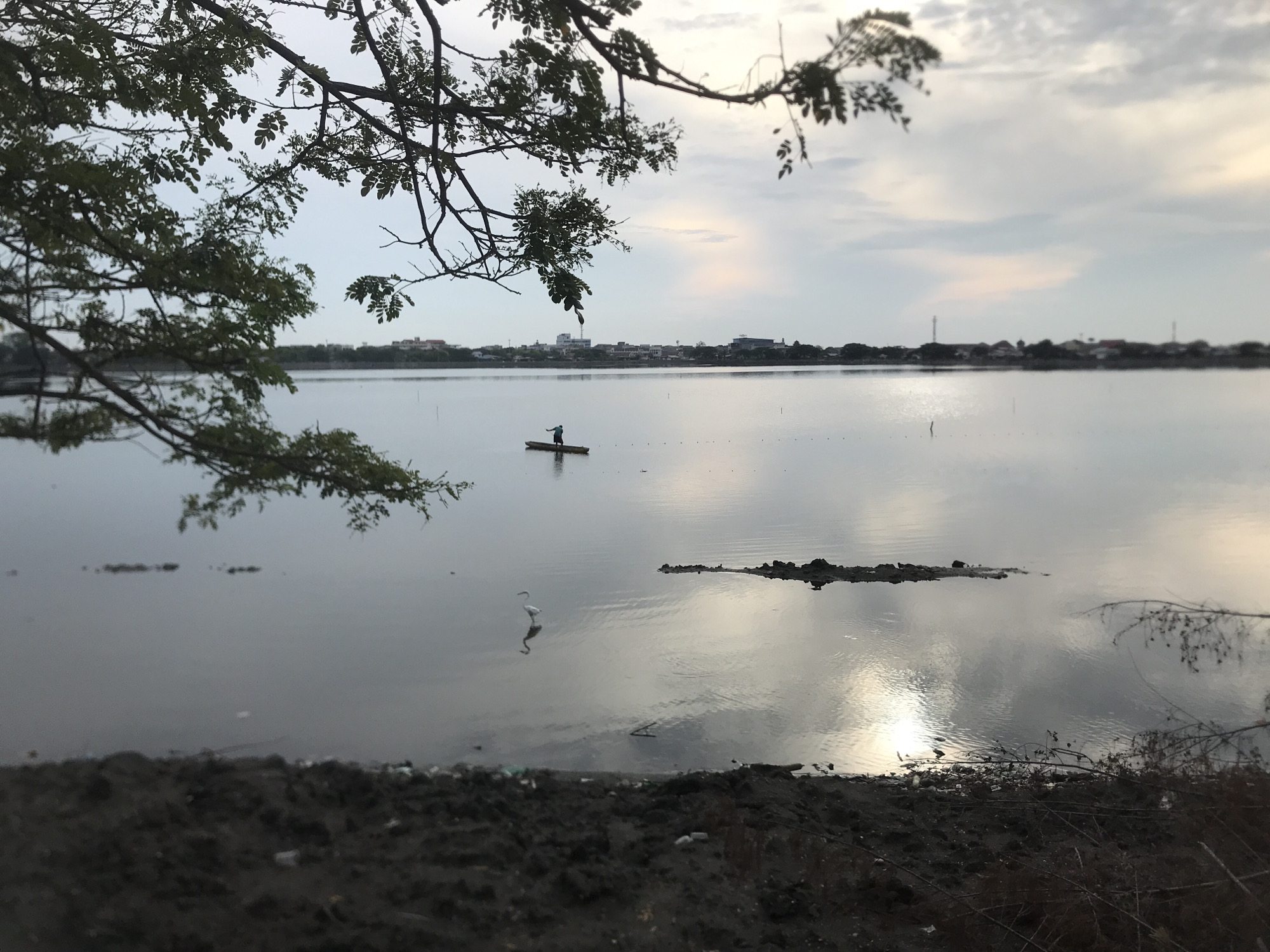 This image depicts a tranquil scene at the Lhokseumawe Reservoir in Lhokseumawe, Indonesia. A lone individual is visible in a small boat in the middle of the reservoir, engaged in an activity that is not clearly discernible. To the left, a white egret stands in shallow water, appearing to be foraging. The foreground is dominated by a muddy bank littered with debris, suggesting it is a less maintained area of the reservoir. In the background, a distant cityscape lines the horizon, with buildings and structures indicating the presence of urban development. The sky is overcast with a hint of sunlight breaking through, casting reflections on the water's surface. Branches of a tree frame the upper left portion of the image, adding a natural element to the composition. The overall atmosphere is serene, with the subtle presence of human activity and wildlife contributing to the peaceful ambiance.
