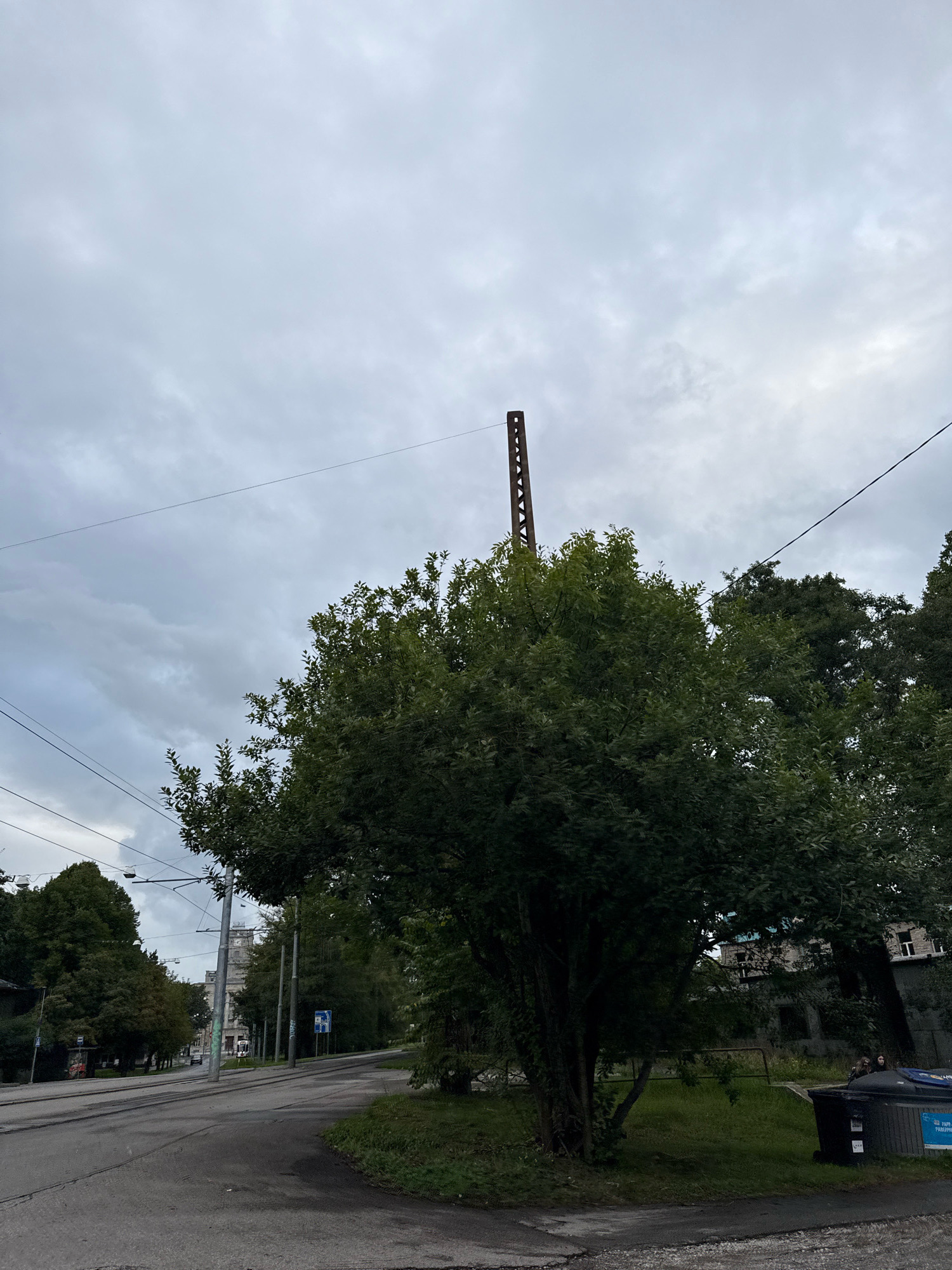 The image captures a view of a street in Tallinn, Estonia, under an overcast sky. A tall, thin, rusted metal structure, possibly an old industrial remnant or part of a signal mast, juts out from behind a large, leafy green tree in the foreground. The tree is situated on the right side of the road, obscuring much of the view behind it.
To the left, a paved road curves into the distance, lined with trees. Tram wires are visible overhead, indicating active tram lines. Further down the road, several buildings are visible, some appearing to be residential or office blocks, with a clock tower prominent on one of them. Signs and streetlights are also present along the roadside.
In the lower right corner of the image, two large dark-colored waste bins are situated on a grassy area next to a building. The overall atmosphere is subdued, likely due to the cloudy weather. The scene appears to be a typical urban streetscape in a European city.