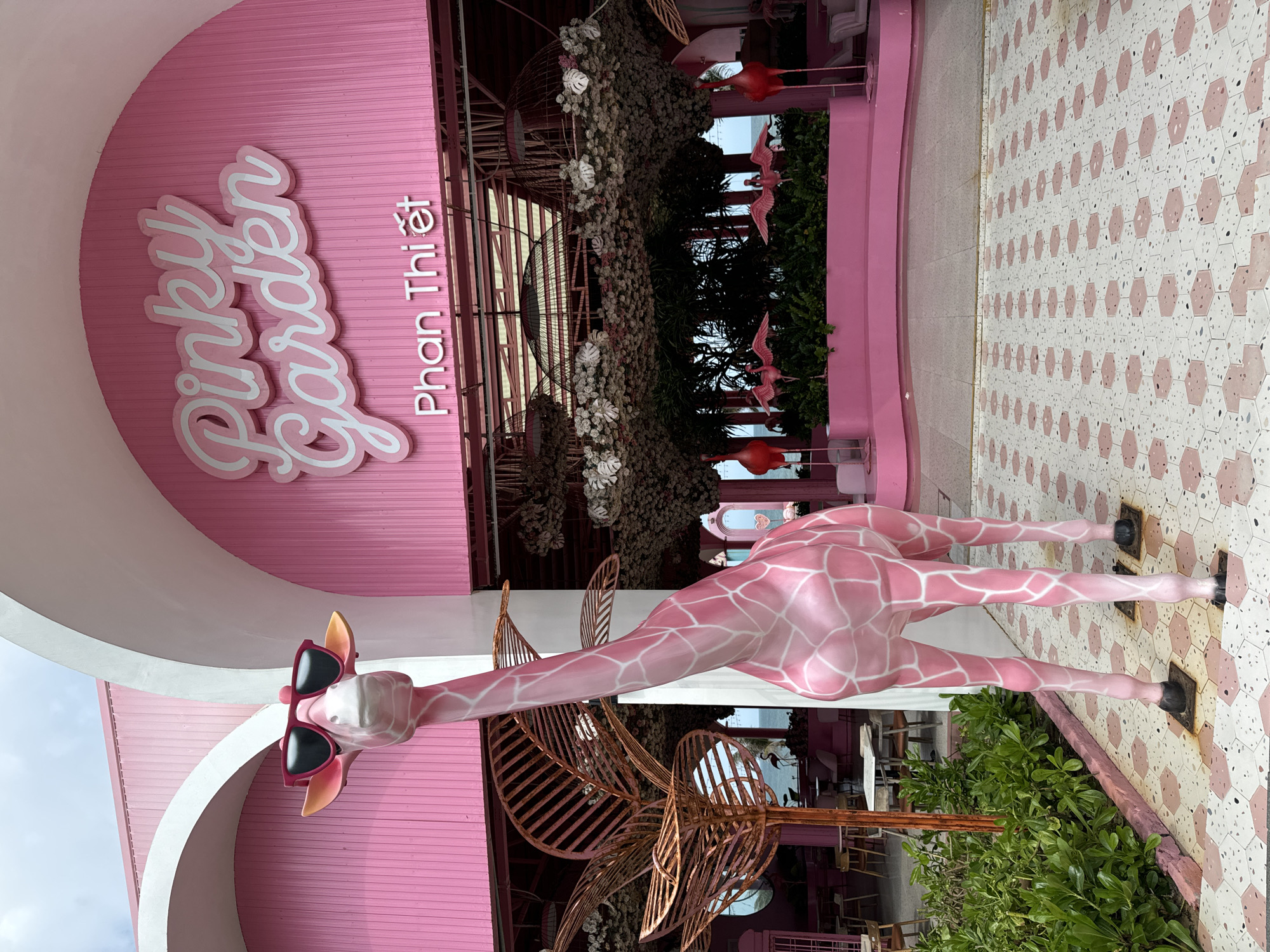 A vibrant, full-shot of a pink giraffe statue wearing large black sunglasses stands prominently in front of a pink building with the words "Pinky Garden" and "Phan Thiet" inscribed in large white lettering. The giraffe is positioned on a patterned tile walkway in front of the entrance of the building, which features a large arched doorway adorned with white trim. Behind the giraffe, the entrance opens to reveal a lush green interior with various seating areas, potted plants, and decorative elements such as flamingo statues and hanging floral arrangements. The building's architecture is distinctly pink and modern, with arched openings and curved lines. The background suggests a coastal location, with a glimpse of the ocean visible through the building's interior. The overall scene conveys a playful and tropical atmosphere. The location is Tien Thanh Ward, Vietnam.
