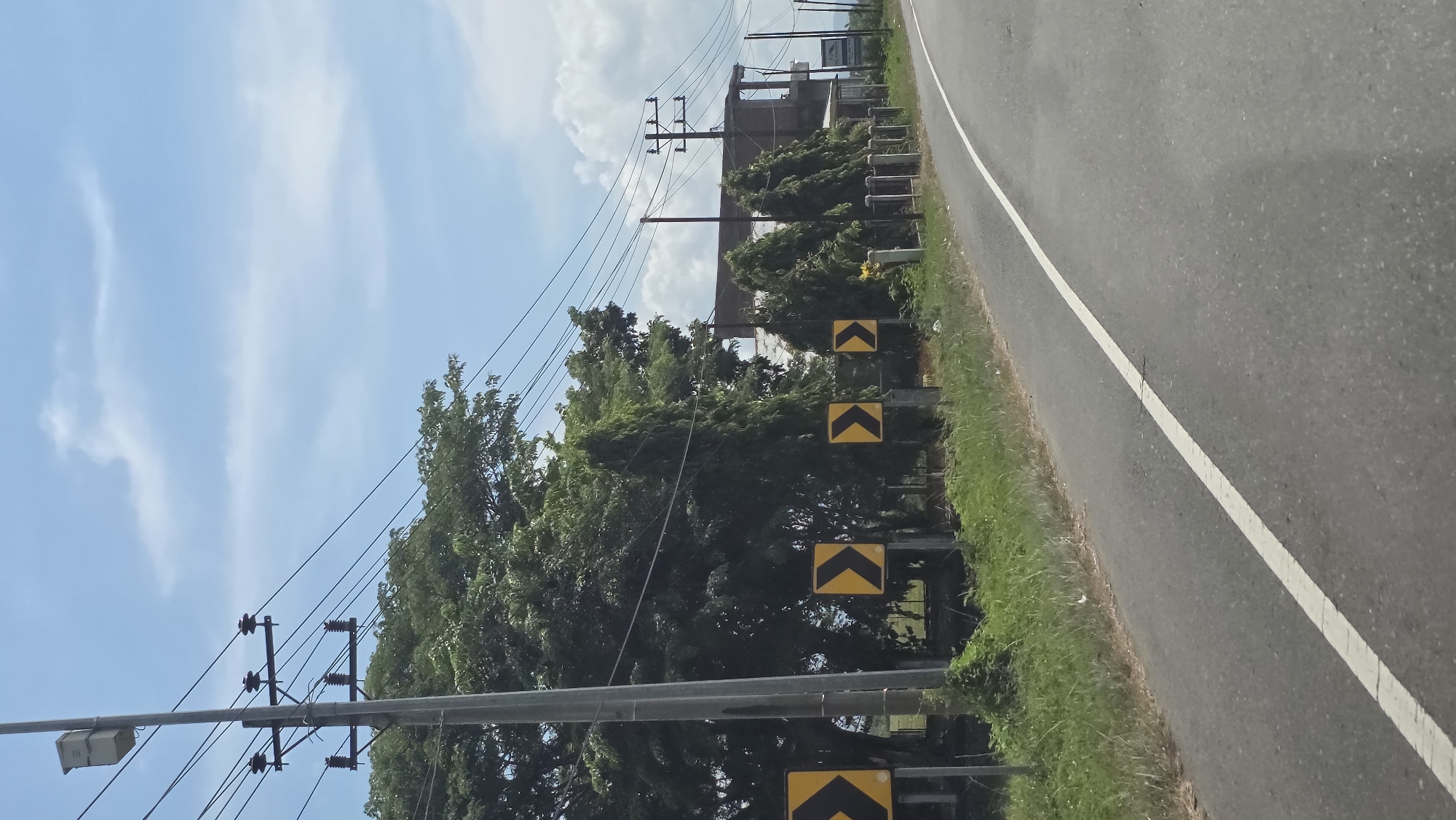 The image depicts a roadside scene, possibly within Jurong Pandee, Indonesia. A grey asphalt road with a single white painted dividing line runs along the right side of the frame. Adjacent to the road is a green grass verge, bordering a line of trees. Attached to the row of trees are yellow and black chevron signs warning of a curve in the road. Power lines run overhead, supported by grey metal poles. In the background, a building is visible, and the sky is blue with wispy white clouds.