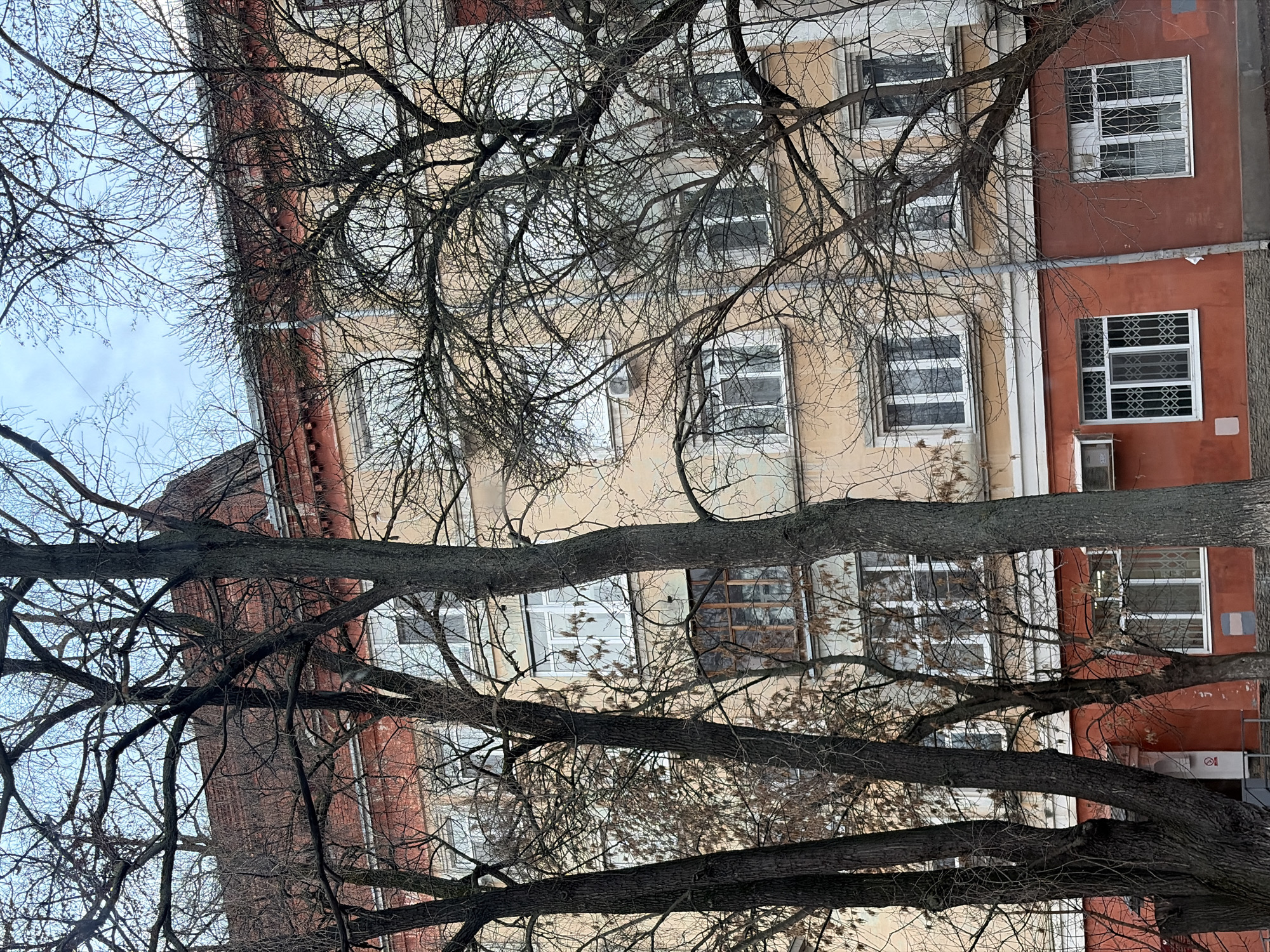 A low-angle shot depicts the facade of a multi-story building in Izhevsk, Russia, partially obscured by bare tree branches. The building's exterior shows varied paint colors, including a section in a warm beige or light tan, and a section painted a reddish-brown hue. Windows are visible across multiple floors, some with decorative grilles or security features. An air conditioning unit is mounted on one wall. The branches of leafless trees dominate the foreground, their intricate network of twigs and branches filling much of the frame. The sky is pale and overcast, visible in the upper left corner of the image.