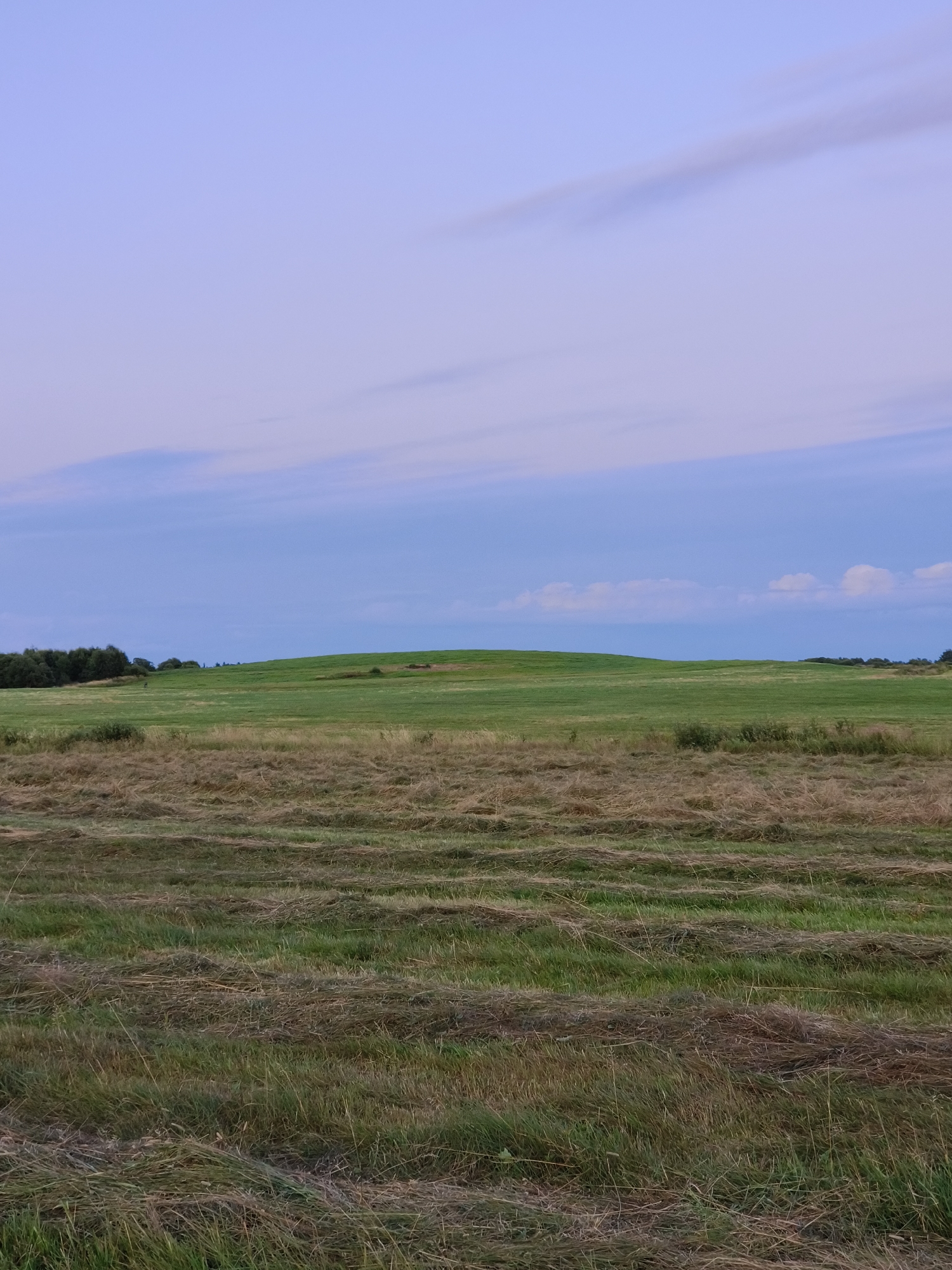 The image depicts a rural landscape with rolling green hills and fields under a pale blue sky with wispy clouds. The foreground features rows of cut grass, suggesting a recent harvest. In the middle ground, a large, rounded hill dominates the scene, with a patch of trees visible on the left horizon. The overall atmosphere is serene and natural. This image was taken in the vicinity of Khittolovo, Russia.