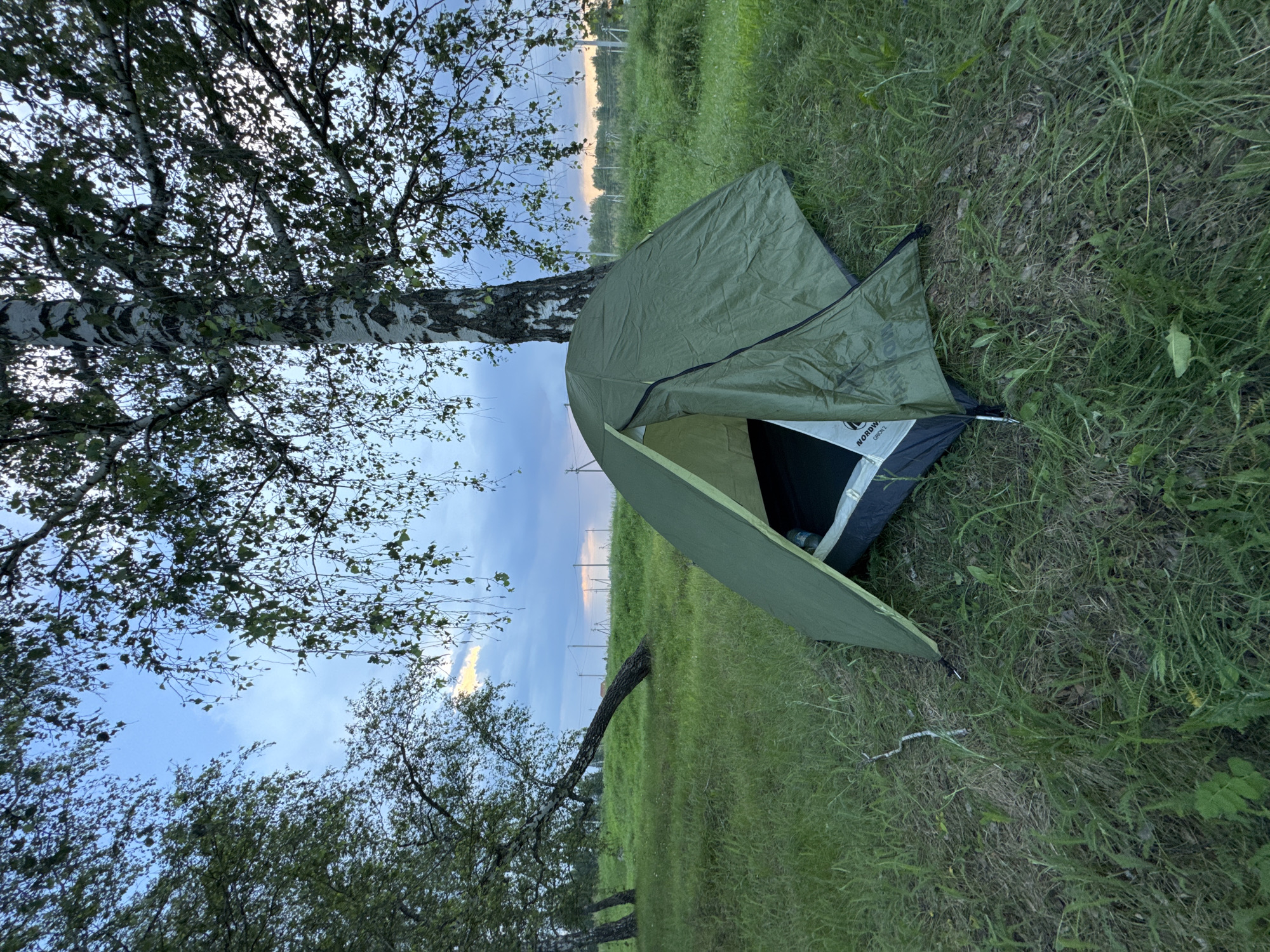 A green tent is pitched on a grassy slope under a birch tree. The sky is overcast with a hint of sunset light on the horizon. In the background, there are more trees and a fence. The scene appears to be in a rural or park-like setting.
