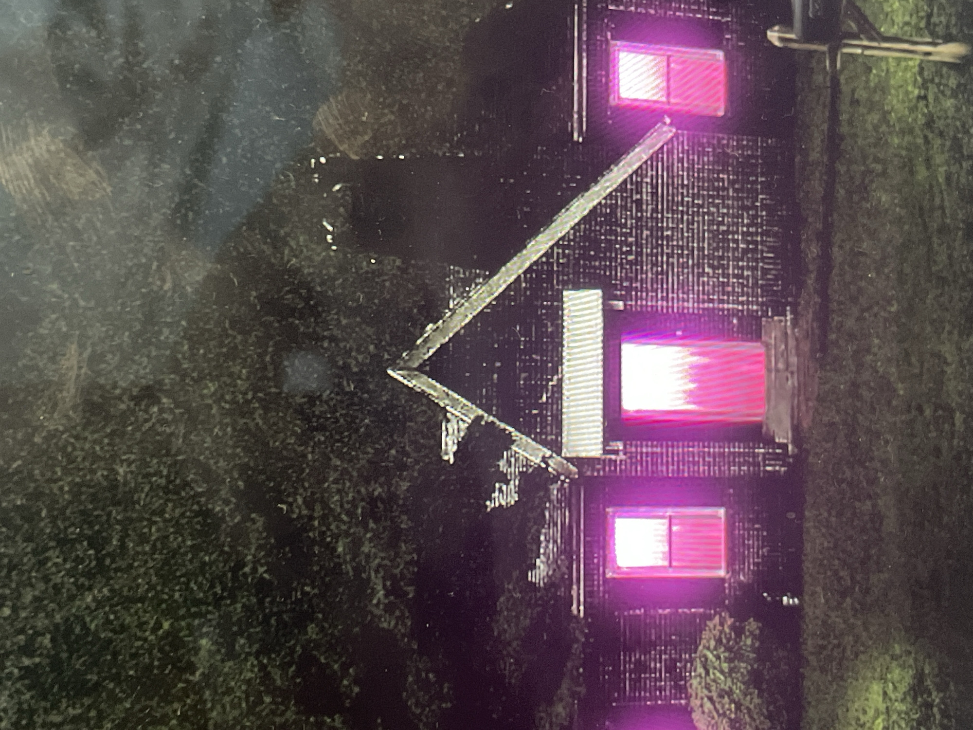 The image, rotated 90 degrees clockwise from its natural orientation, depicts a building, likely a house, at night. The structure features a prominent pitched roof and a textured facade, possibly siding, visible under the dim light. Three distinct windows on the visible side of the building are brightly illuminated with vibrant pink and purple lights, casting a strong magenta glow into the dark surroundings. Dense green foliage, consisting of bushes and trees, flanks the building on both the left and right sides of the frame. A vertical element, potentially a fence or wall, is partially visible on the right, intertwined with the greenery. The overall scene is dark, characteristic of nighttime. The left side of the image contains noticeable smudges or reflections, suggesting the photograph might have been taken through a glass surface. No people or specific activities are visible. No text is present in the image.